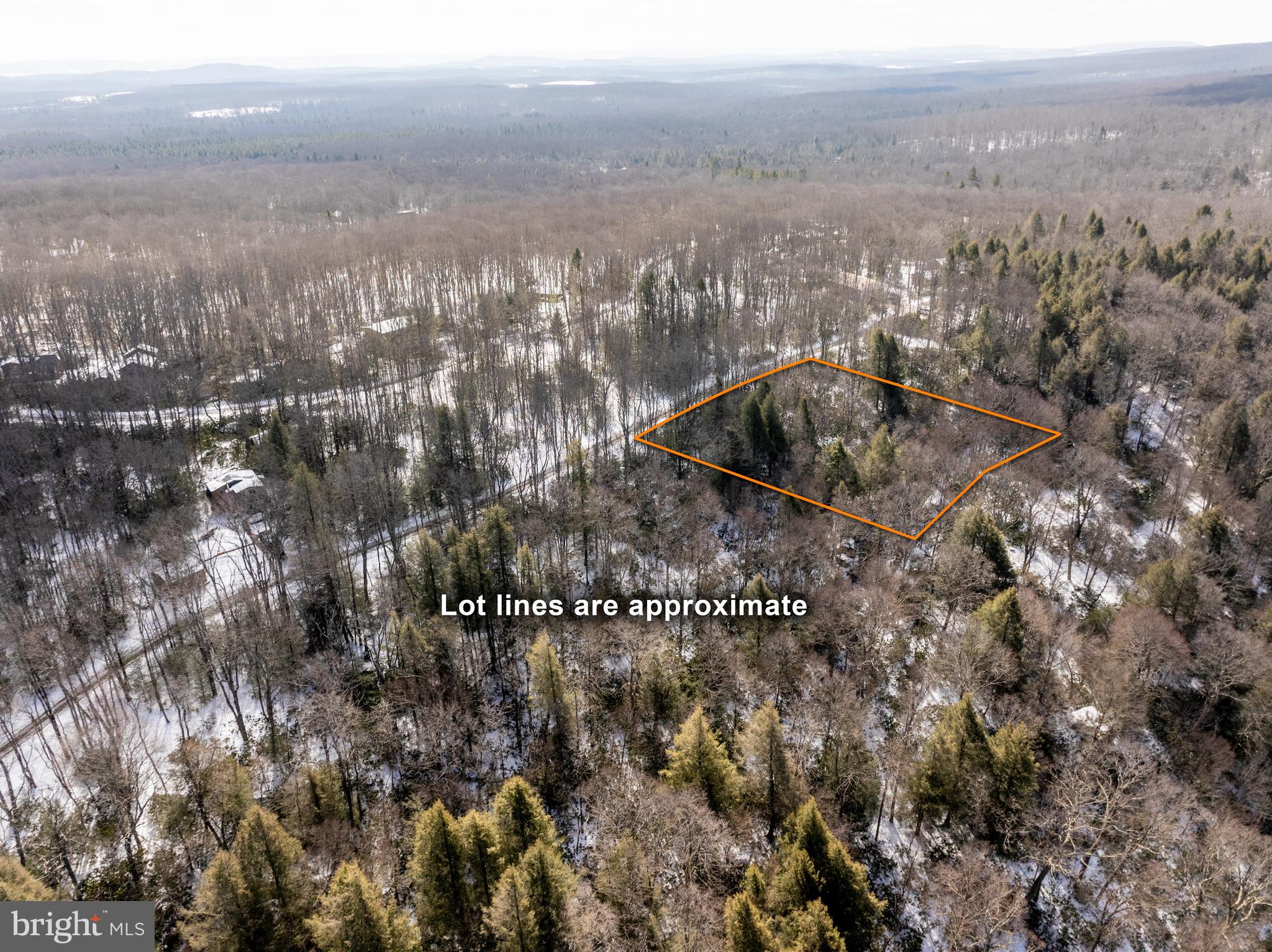 PINEY MOUNTAIN CORP - Land