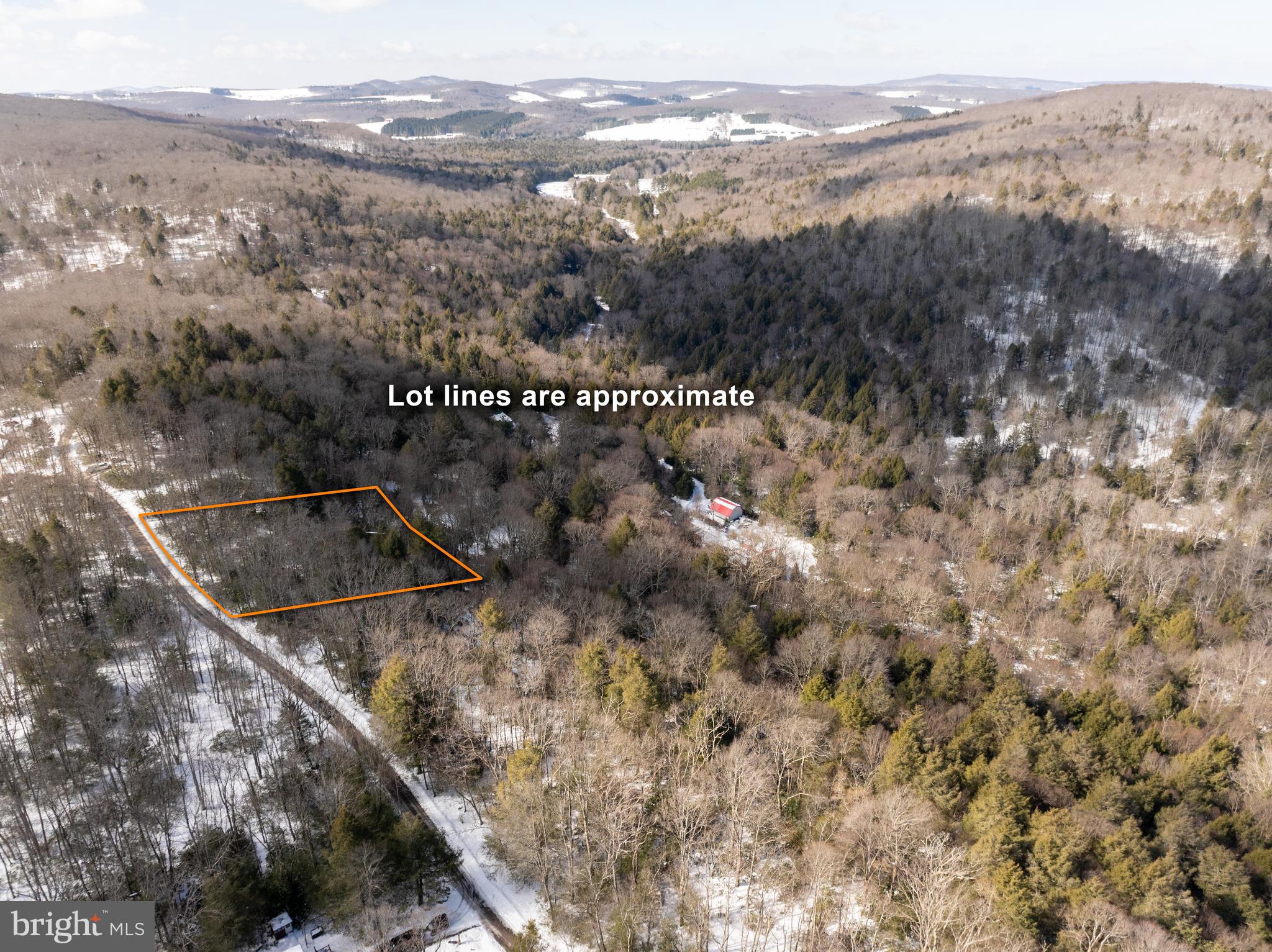 PINEY MOUNTAIN CORP - Land