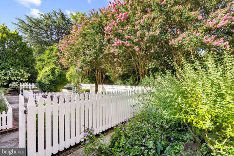 listing image 65