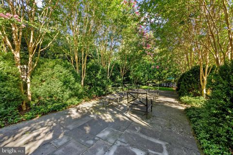 listing image 75