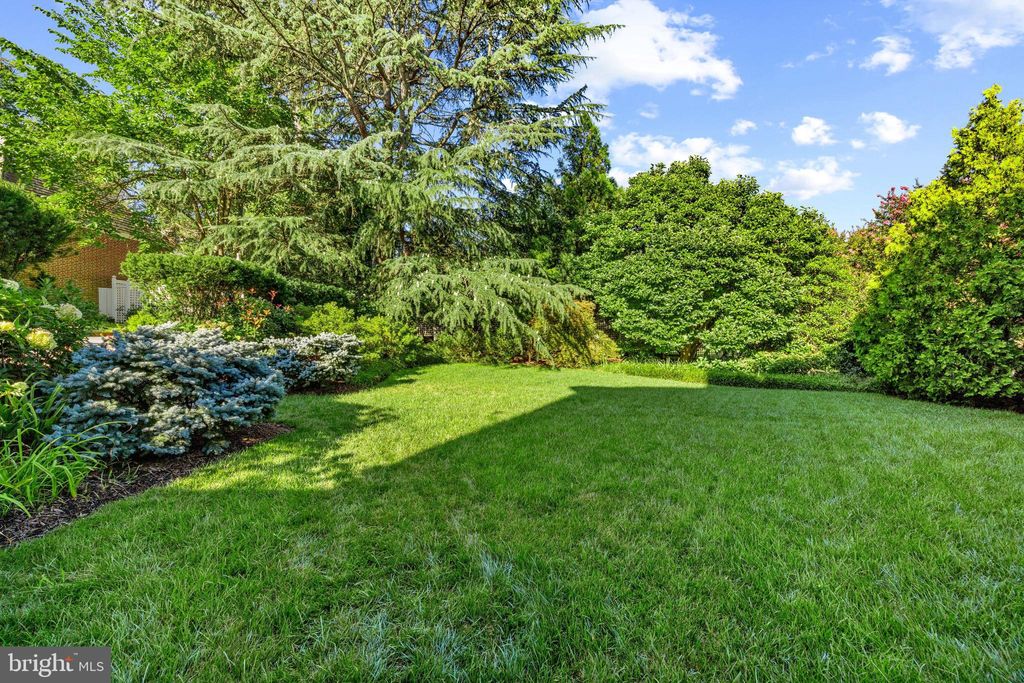 listing image 88