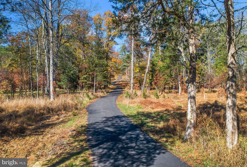 Photo of 13 Lily Valley Road, ERWINNA, PA 18920 (MLS # PABU2108232)