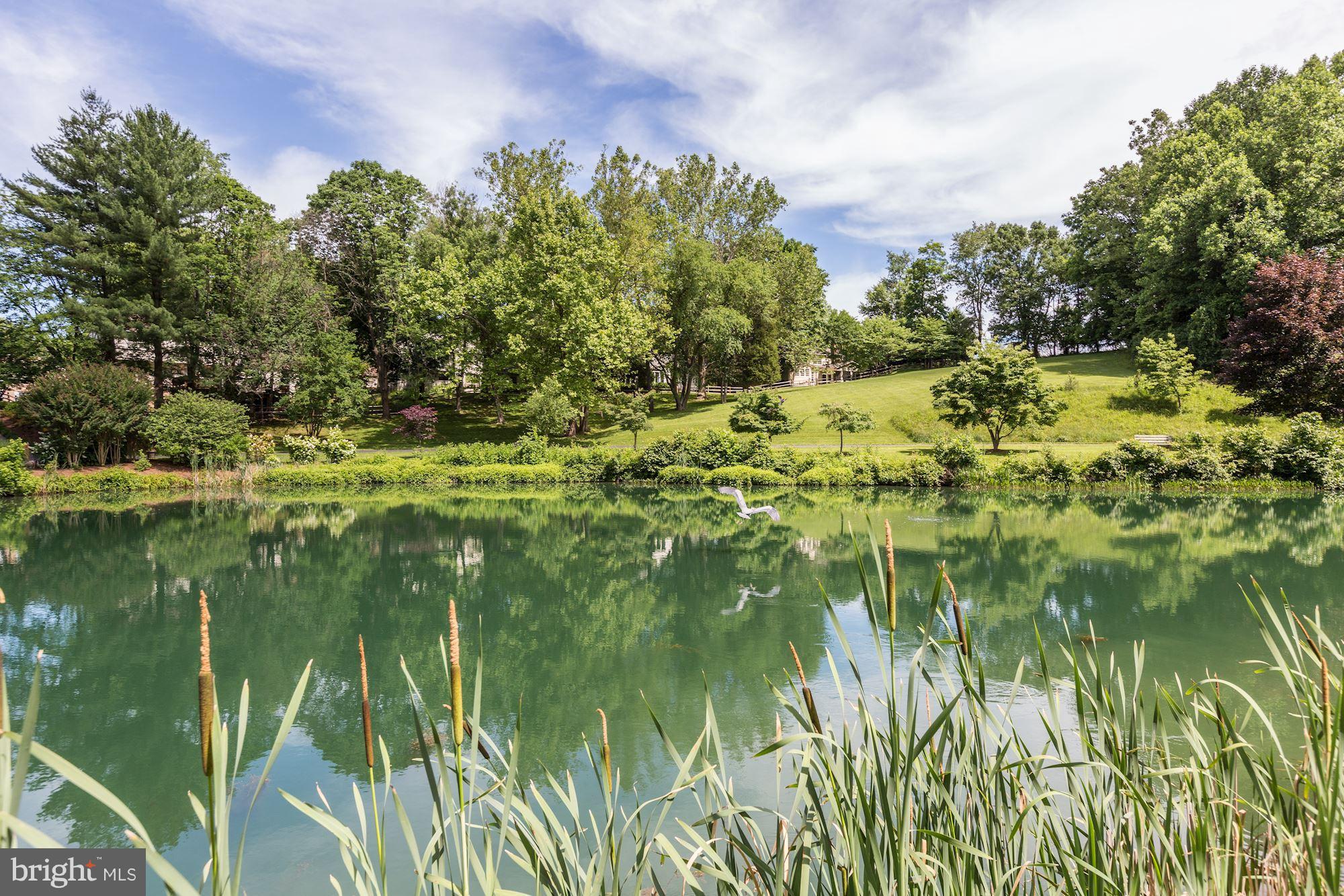 FALLSMEAD - Residential