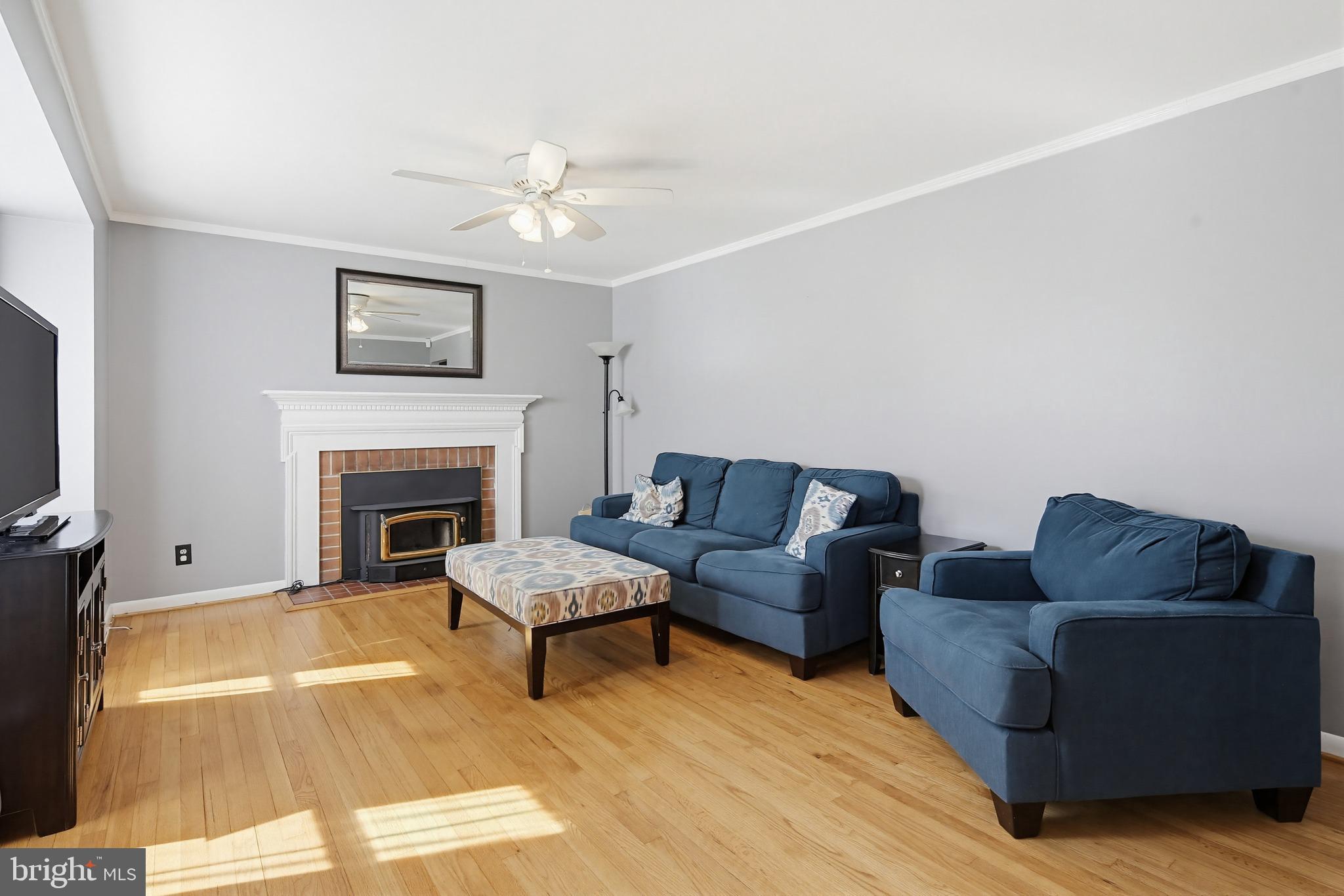 SHAMROCK - Residential