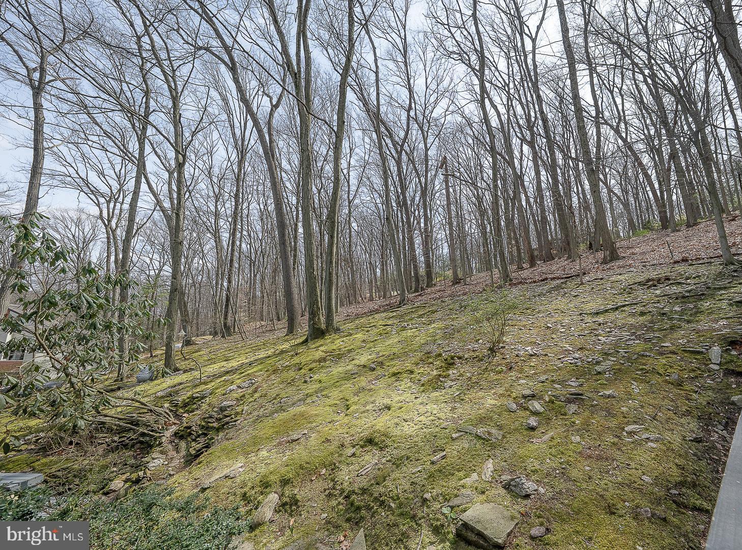 GULPH MILLS VIL - Residential