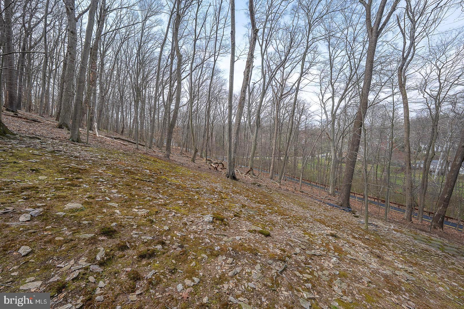 GULPH MILLS VIL - Residential