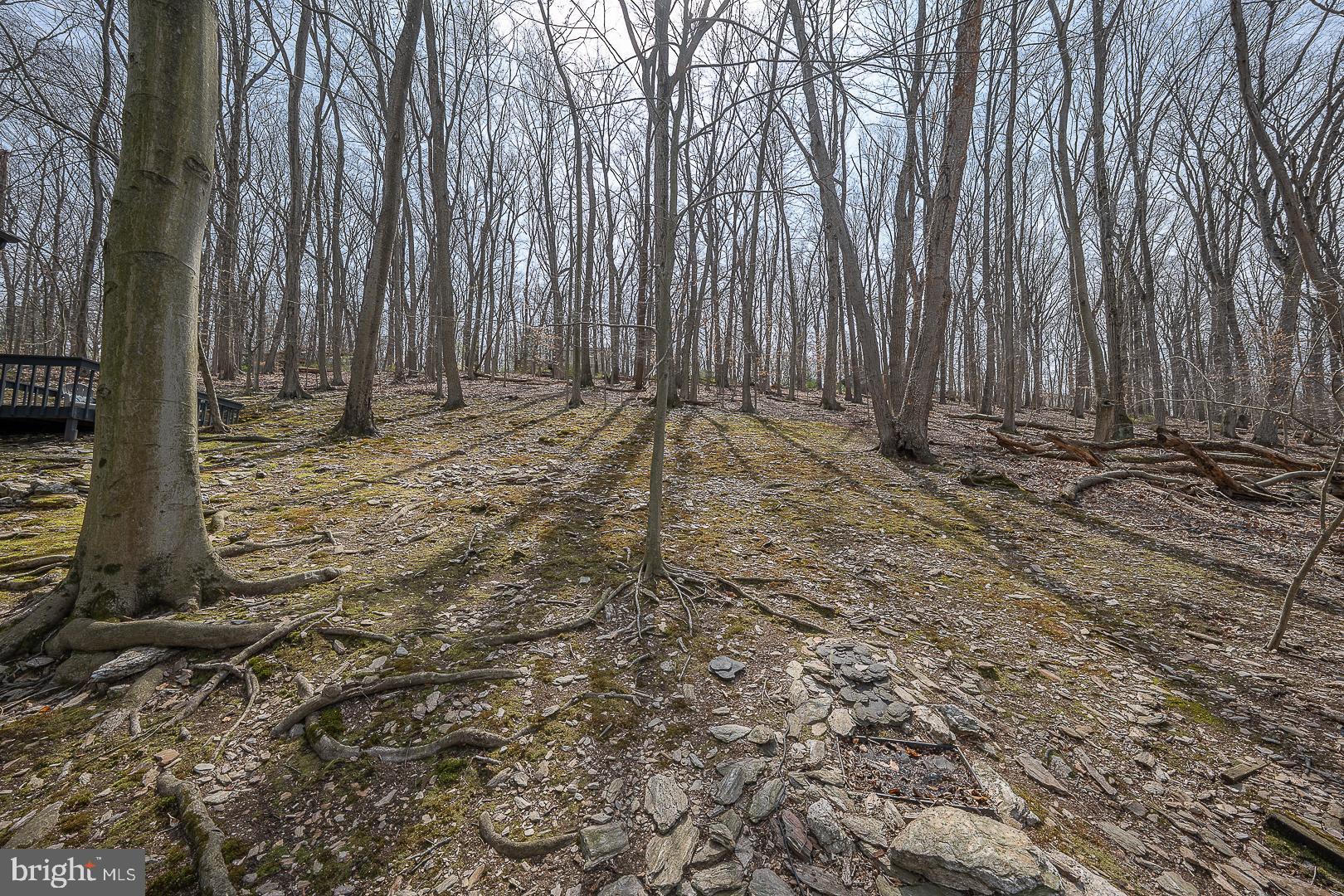 GULPH MILLS VIL - Residential