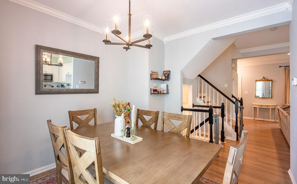 43287 CHOKEBERRY SQUARE