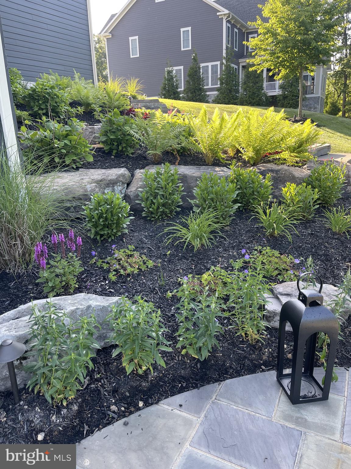 THE GRANT AT WILLOWSFORD - Residential