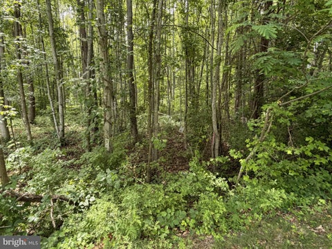 Vacant Land For Sale - Overton Dr<br/> BUMPASS, VA 23024