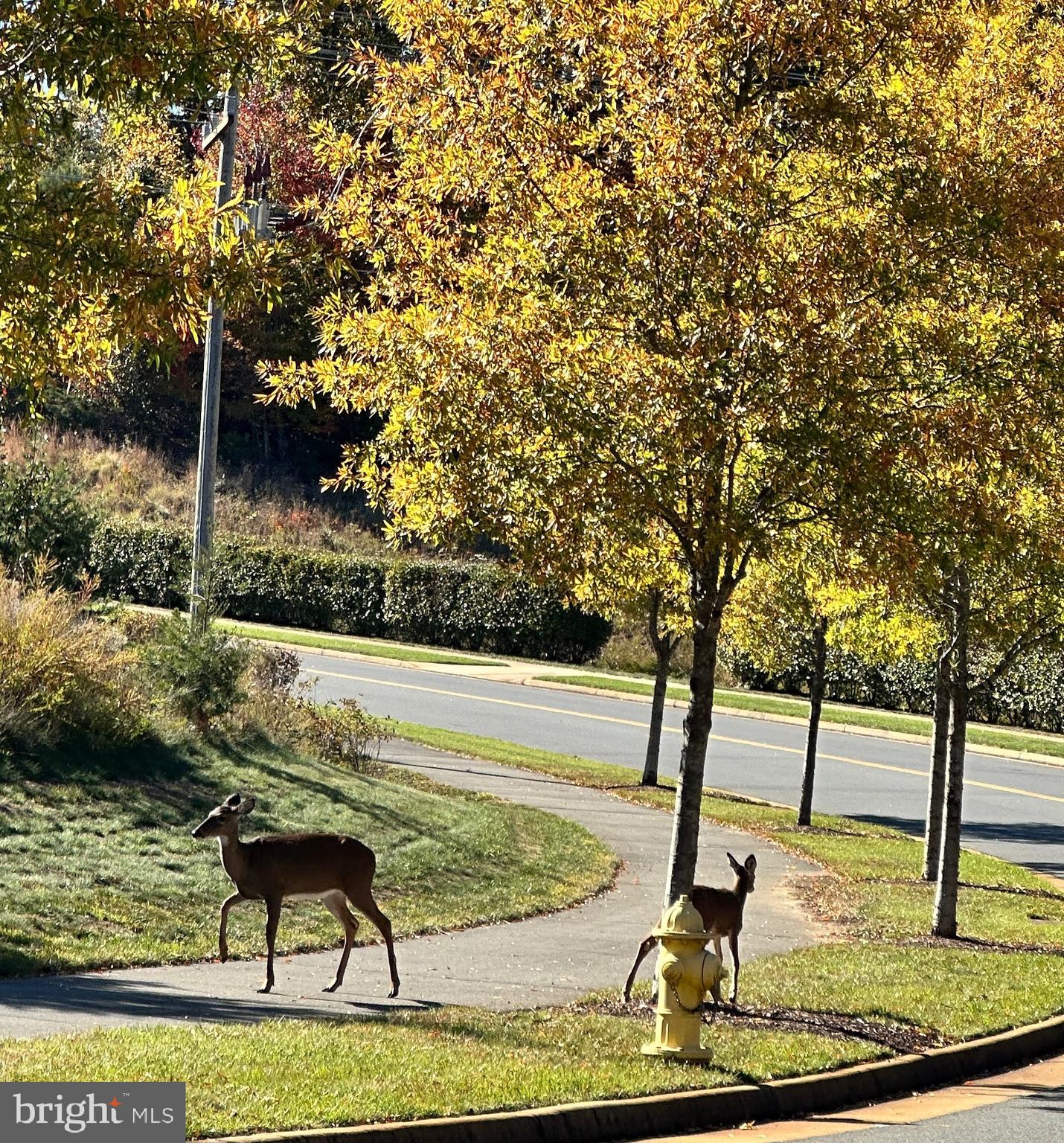 POTOMAC SHORES - Residential