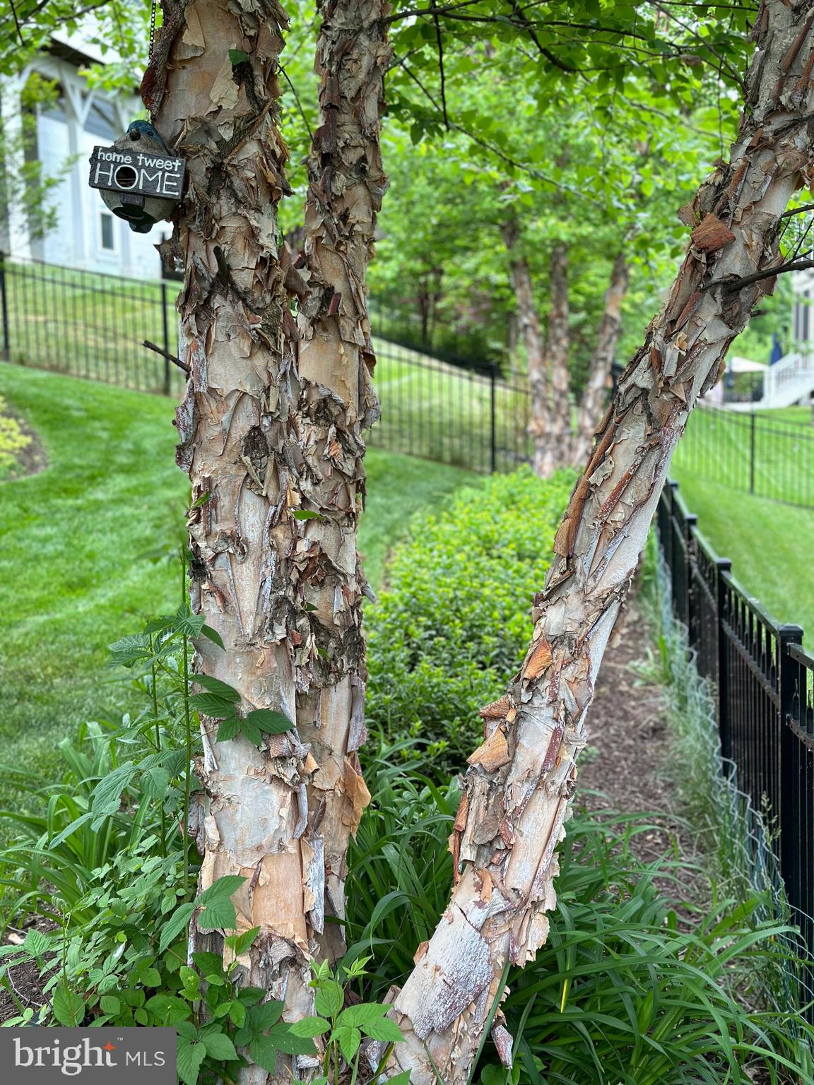 POTOMAC SHORES - Residential