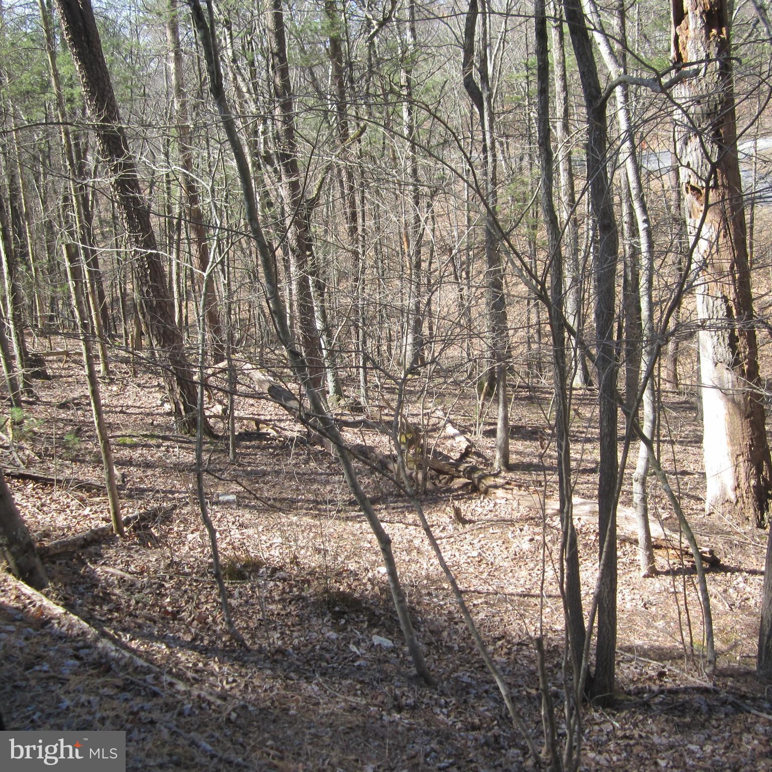 180 SPRUCE LANE