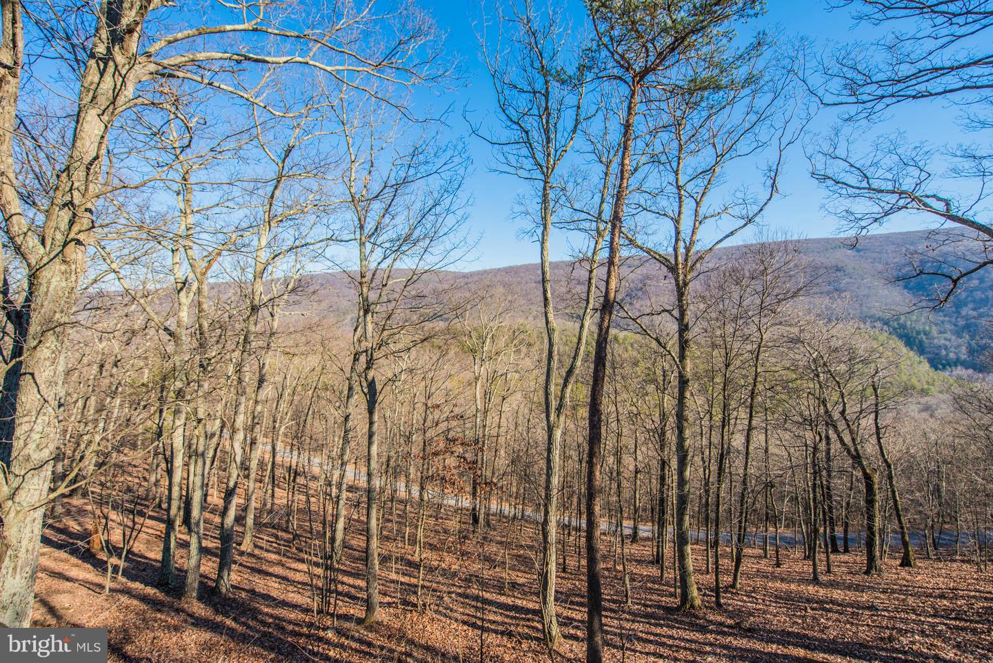 CACAPON RIVER RAPIDS - Residential