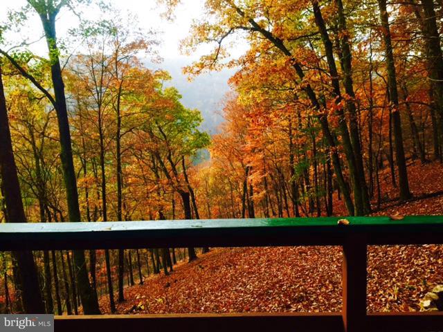 CACAPON RIVER RAPIDS - Residential