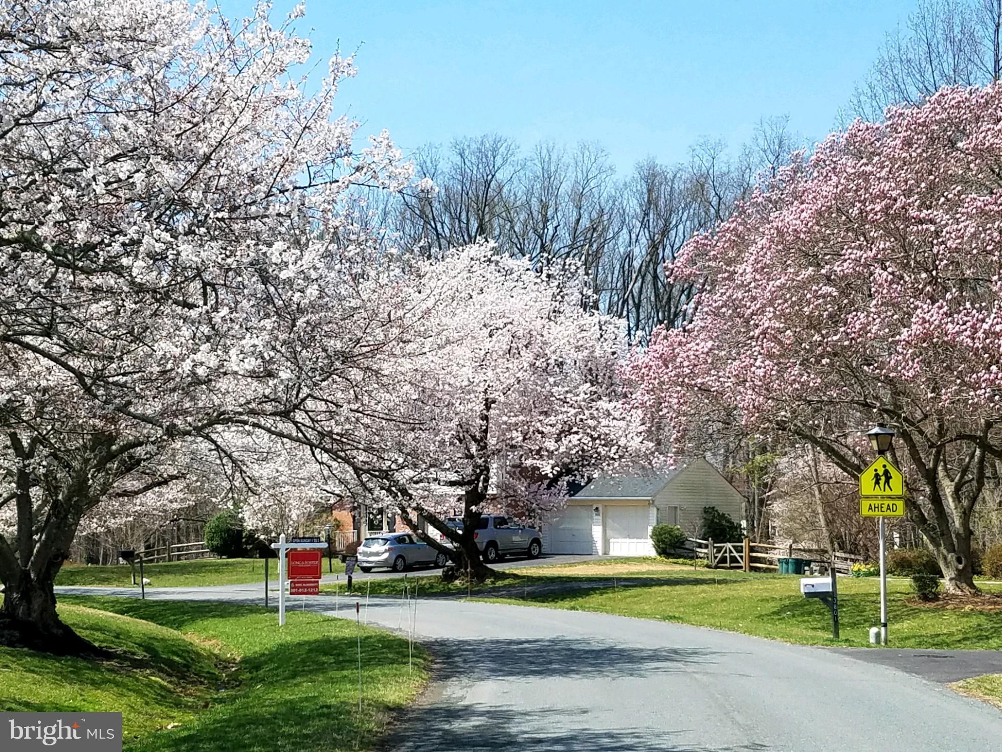 WILLIAMSBURG VILLAGE - Residential