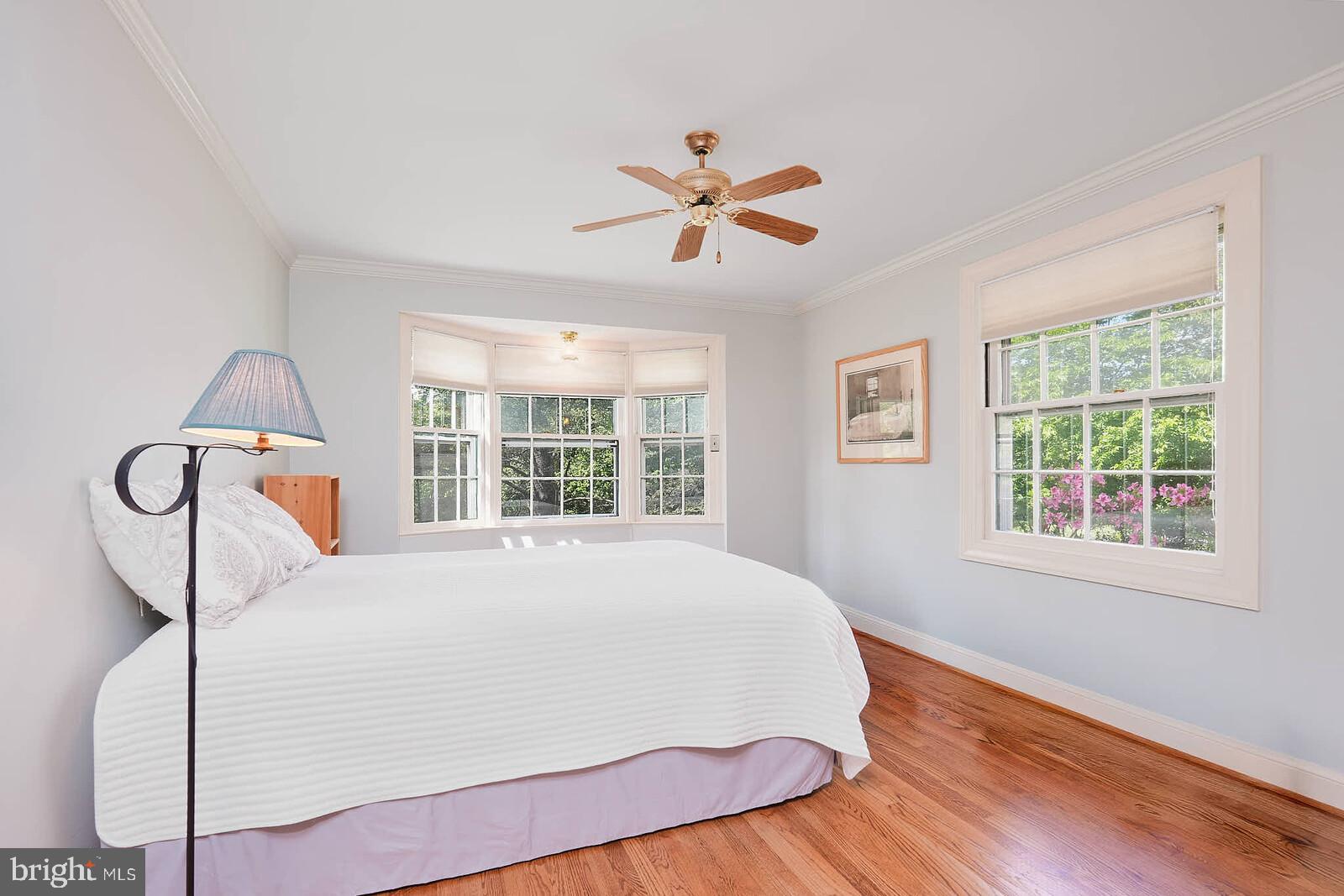WILLIAMSBURG VILLAGE - Residential