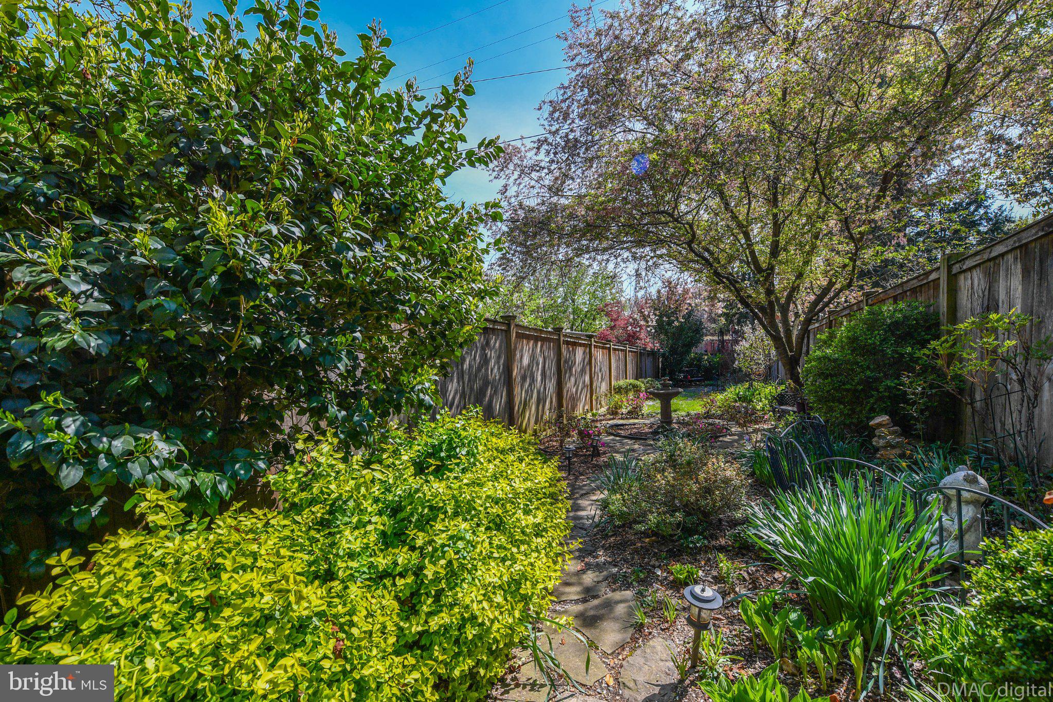 DOWNTOWN FREDERICK - Residential