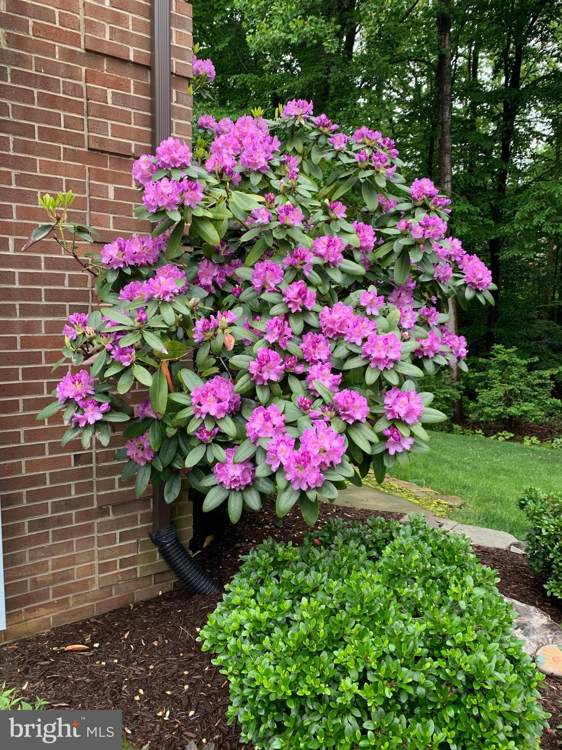 SHANNON STATION - Residential