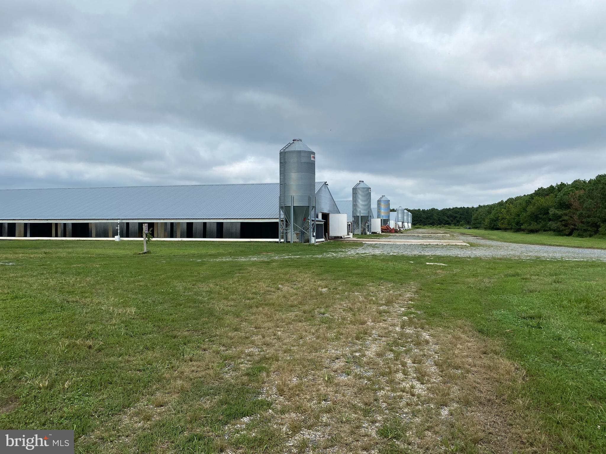 Somerset County Poultry Farm - This farm exist of 6 Poultry Houses built approx 2006. The sizes of the houses are the same 60 x 500 Capacity 210,000 (birds). The farm is sitting on 25 acres of land with a double wide mobile home. The features of this farm has 250 K generator, Roxell feeders, Recir fans (New upgrade) Radiant heaters 14 each house 2 lines, solid side walls, Ziggity nipples and Choretime controllers. The double wide home is on permanent foundation. The manure shed is being measured but approx 40 x 160 (2). The controllers are ran to be able to run communication but this set up has not been done by seller. The farm machinery specs that convey with the farm: Bobcat and zero turn lawn mower. Call today for private tour and also any other information needed for this farm.