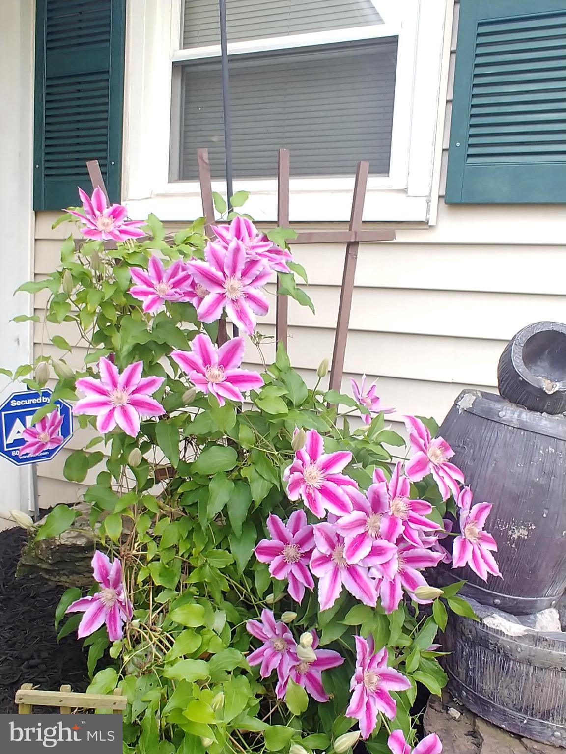 IDLEWILD AT BELAIR - Residential