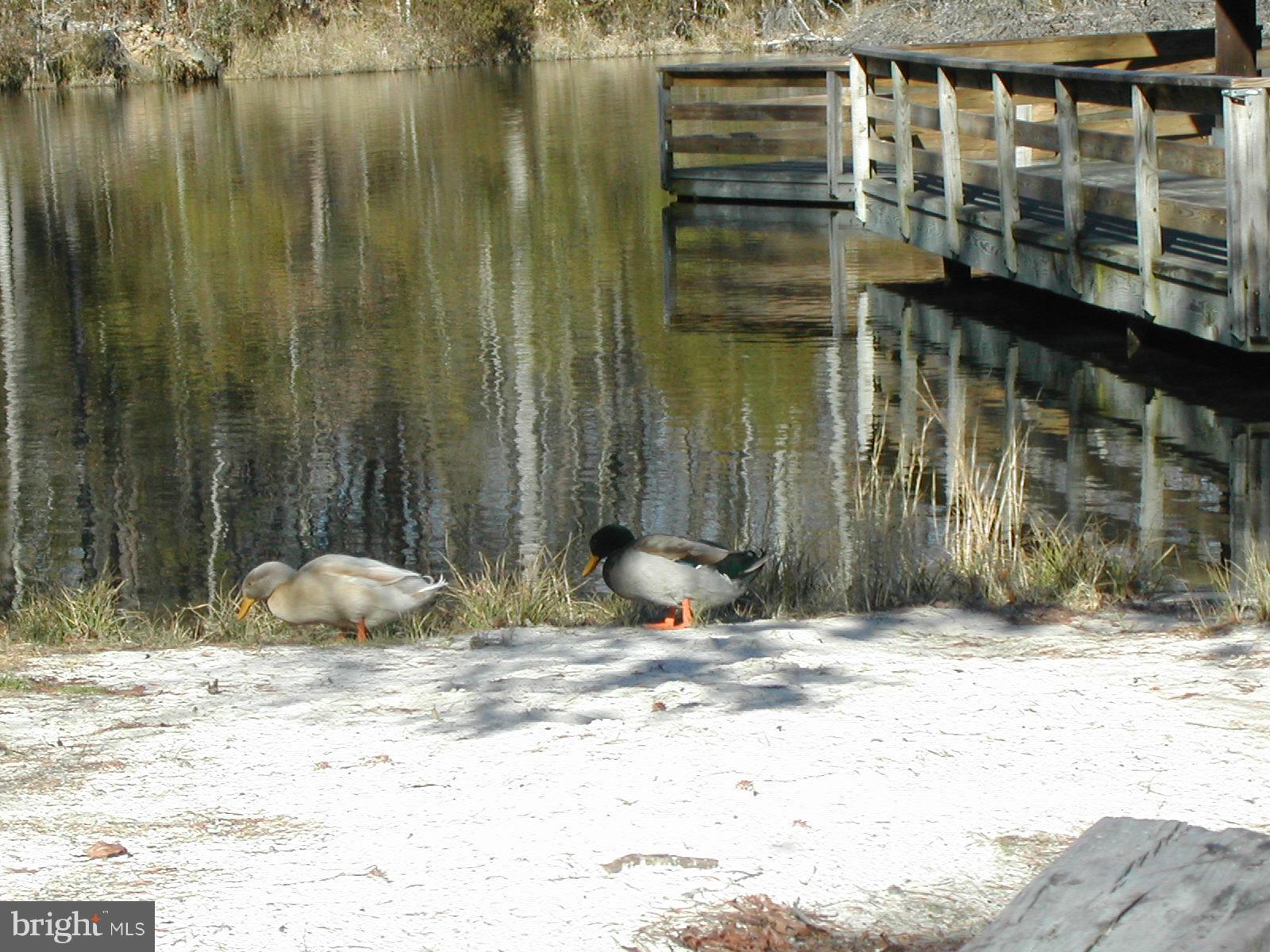 PRESIDENTIAL LAKES - Residential