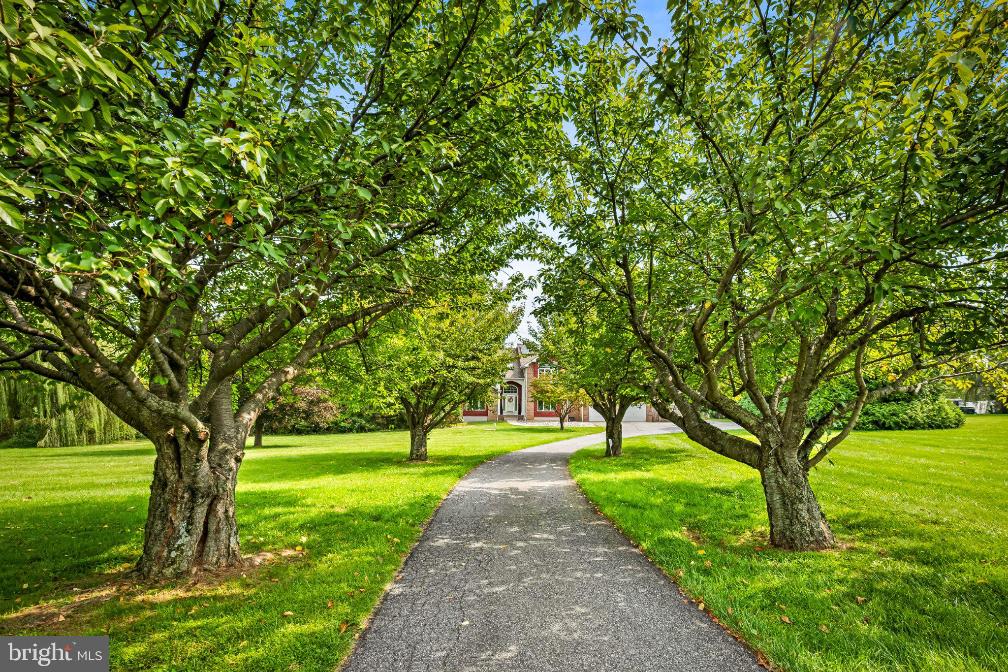 54 MOUNT OLIVET ROAD