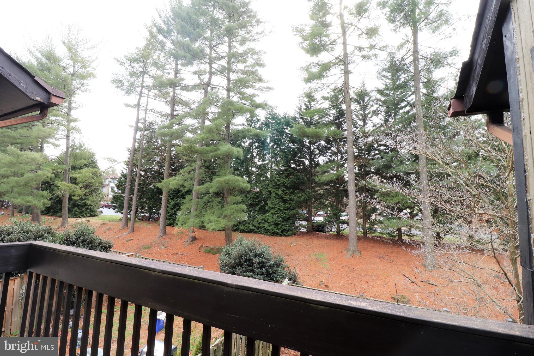 DORSEYS REGARD - Residential