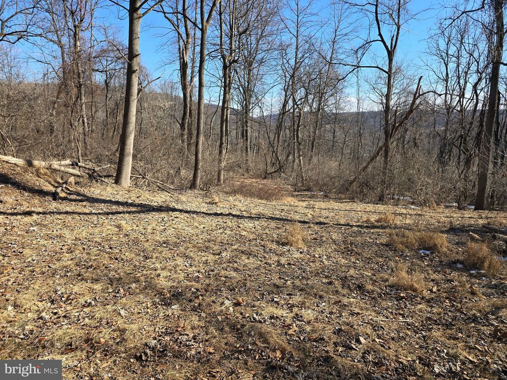 Photo of 0 Hill Road, BOYERTOWN, PA 19512 (MLS # PABK2067650)