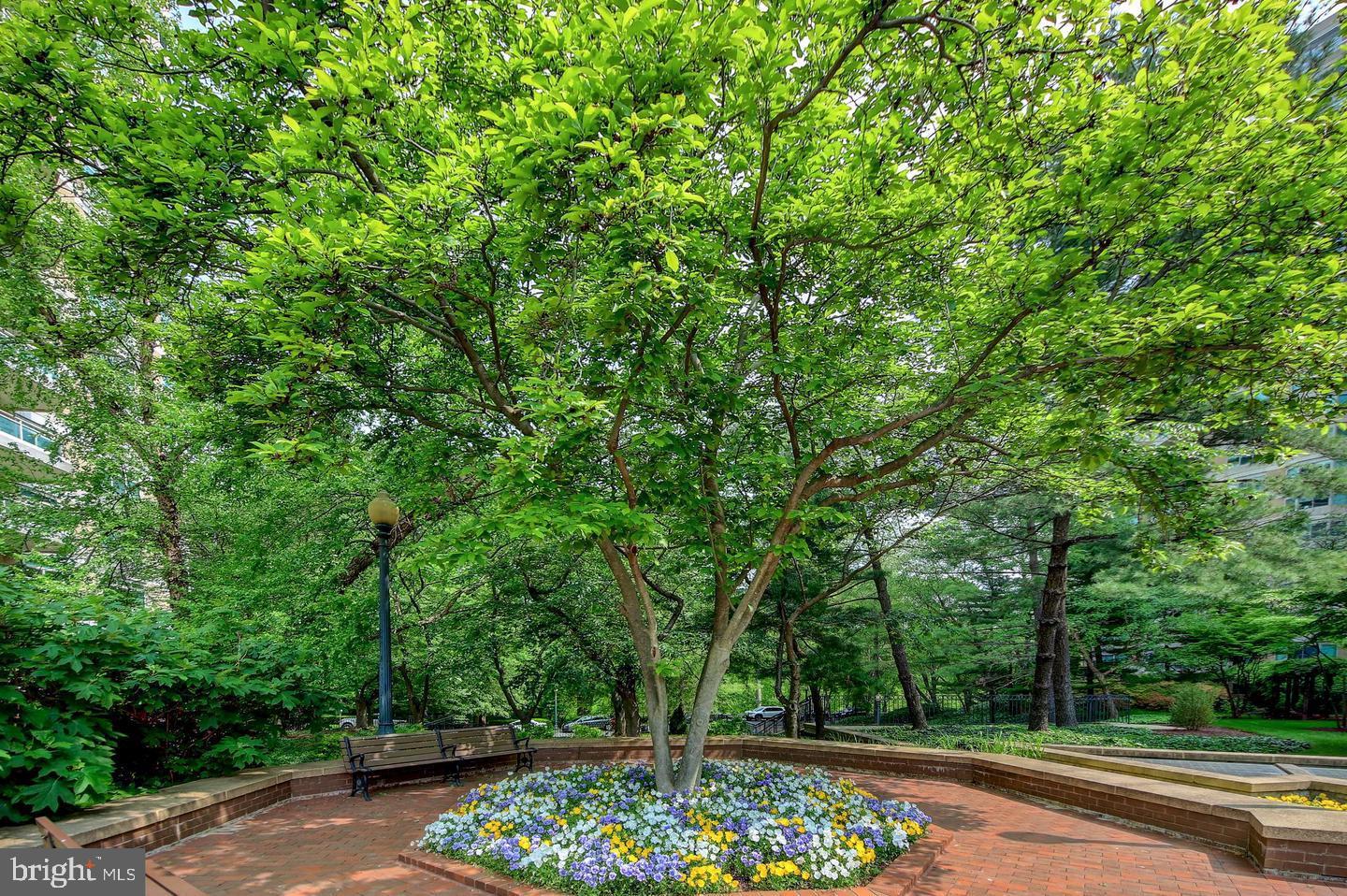 SOMERSET HOUSE - Residential