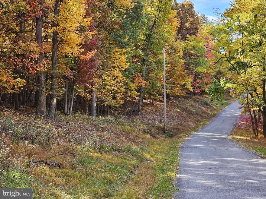 Awesome piece of property with seasonal mountain and valley views with the ability to select cut a few trees and have year-round views!  HUNT/CAMP/HIKE now and build later or build now and relax with a winter view of the Back Creek Valley from the cleared homesite!  Driveway installed and electric at the site. Convenient location not far from shopping and commuter routes.  The property starts on Sabrina Lane and goes up the mountain crossing Radio Tower Rd which allows views to the East and West! Hunting allowed.