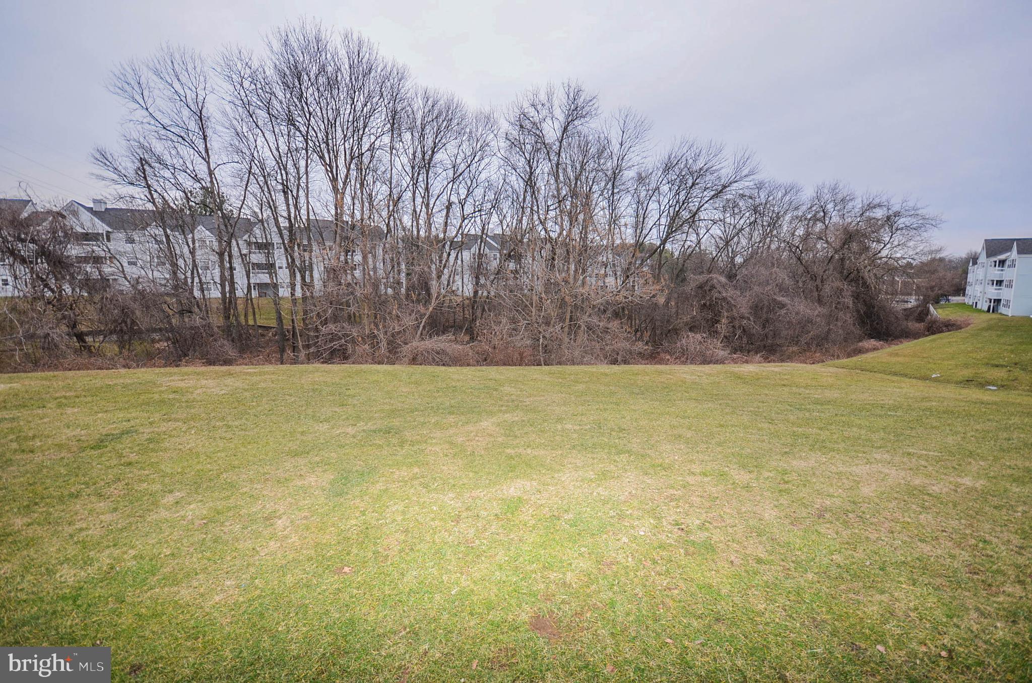 VILLAGE OF MONTGOMERY RUN - Residential