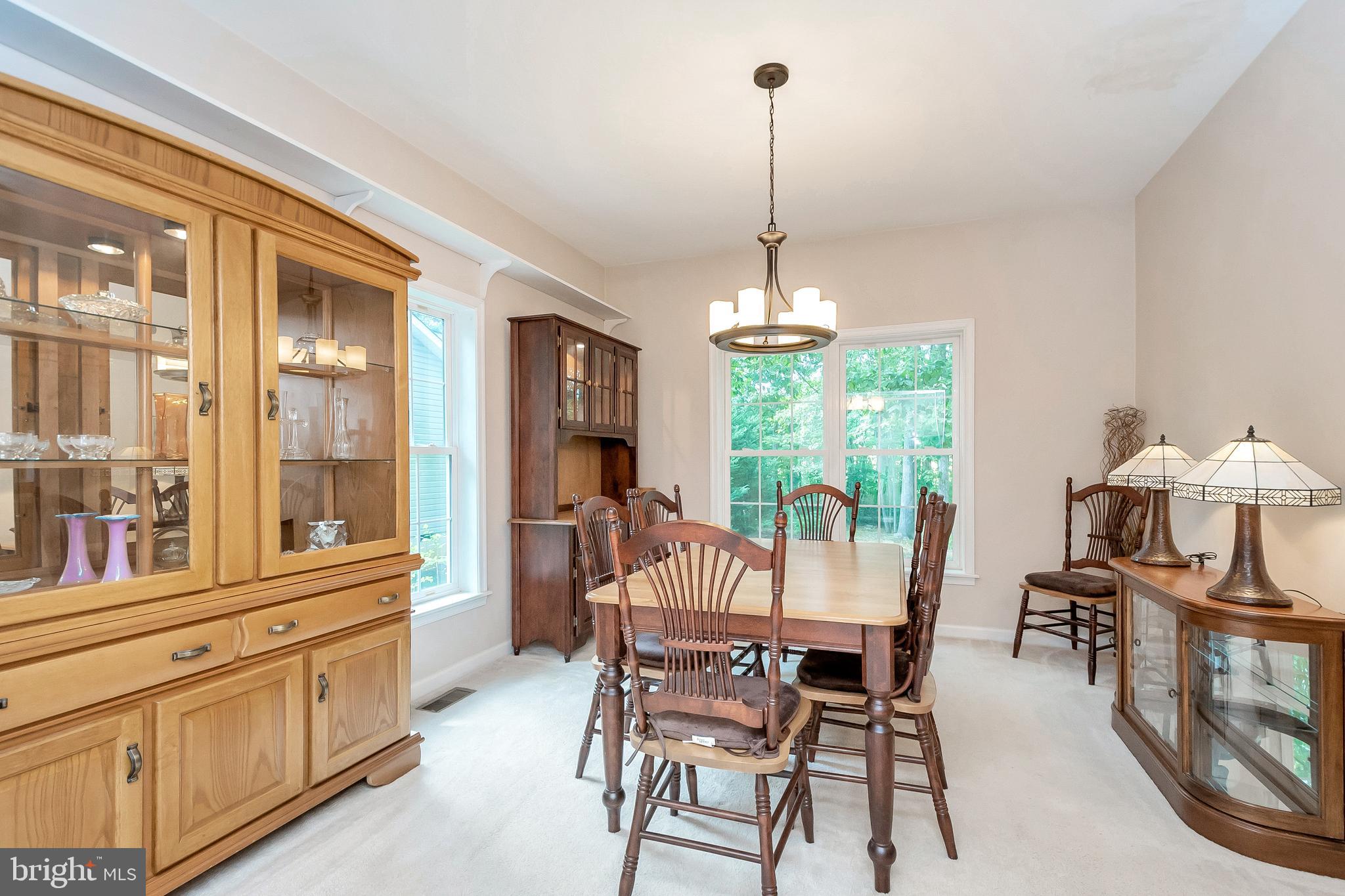 LAKE OF THE WOODS - Residential