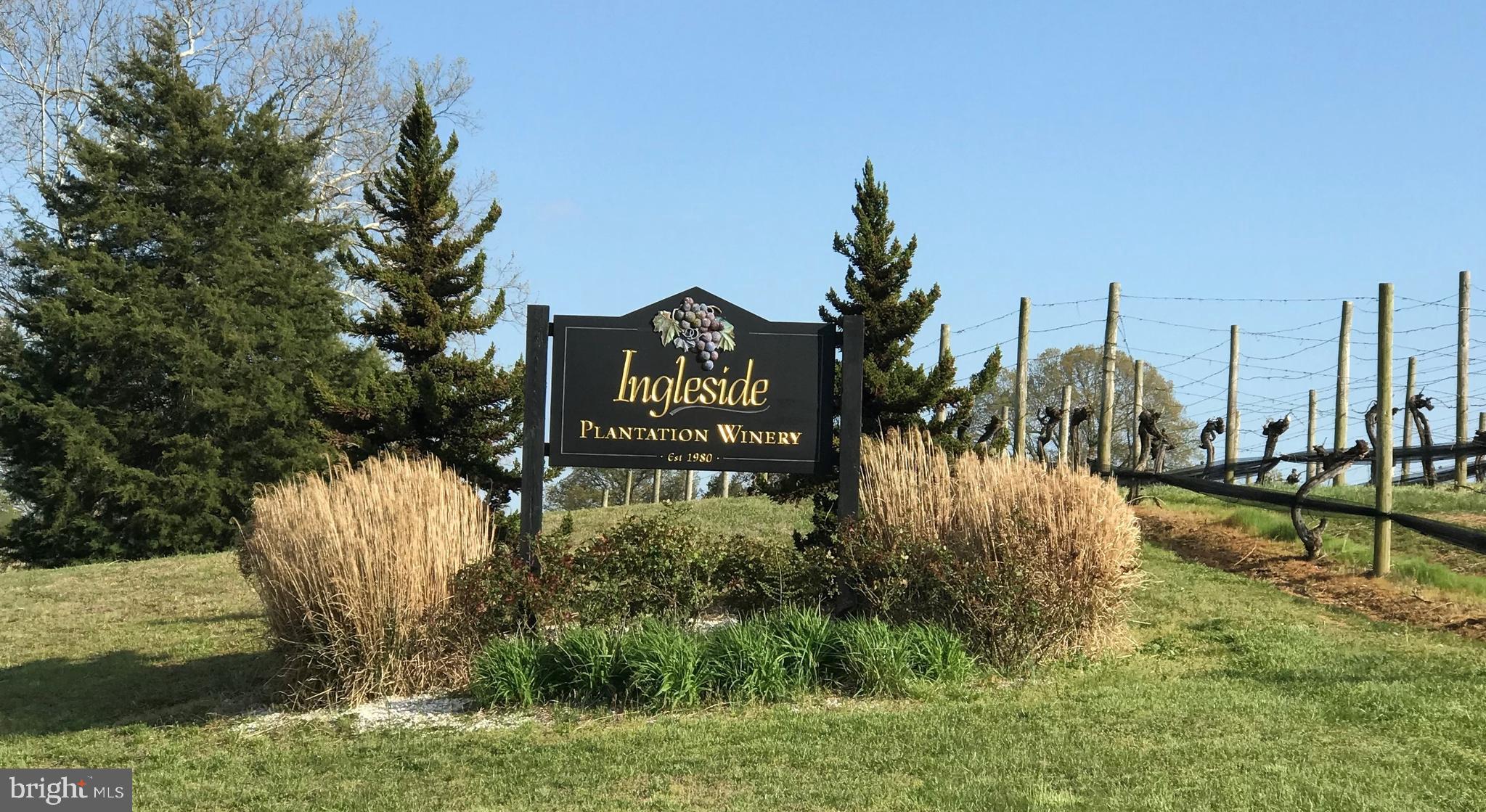 BLUFF POINT - Residential Lease