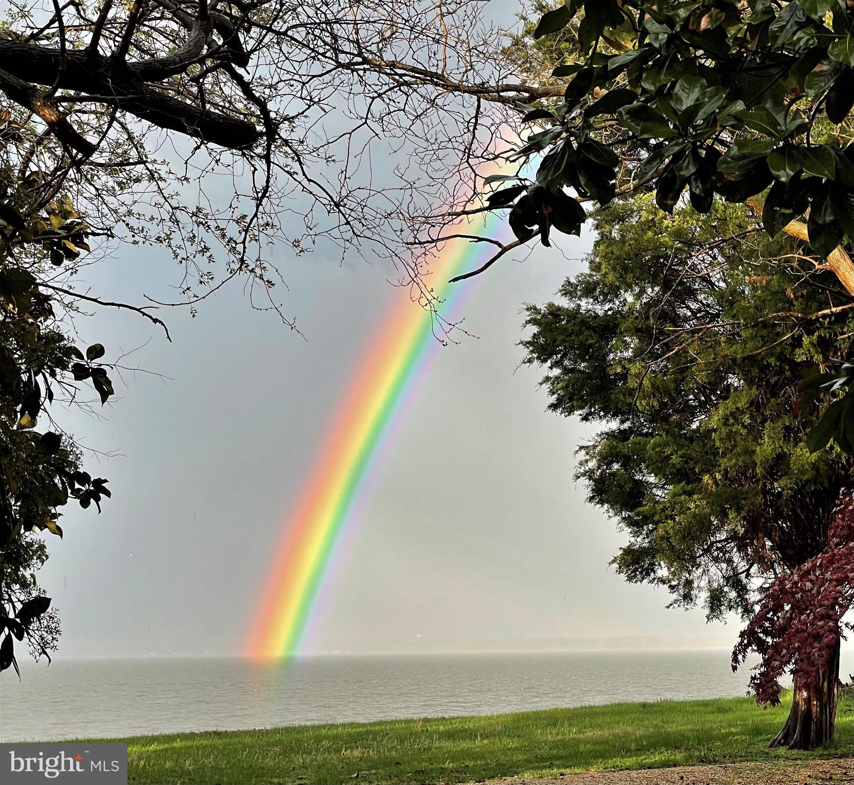 BLUFF POINT - Residential Lease