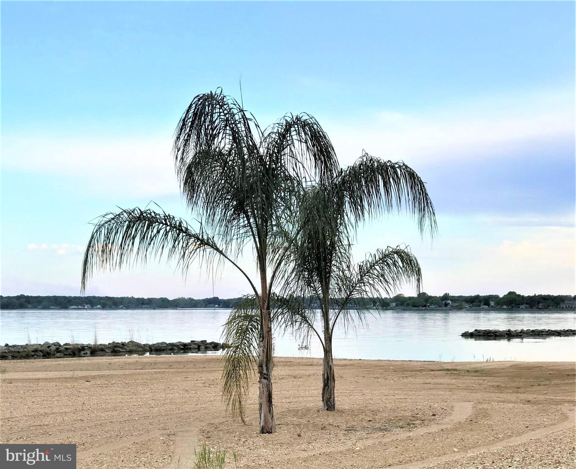 BLUFF POINT - Residential Lease