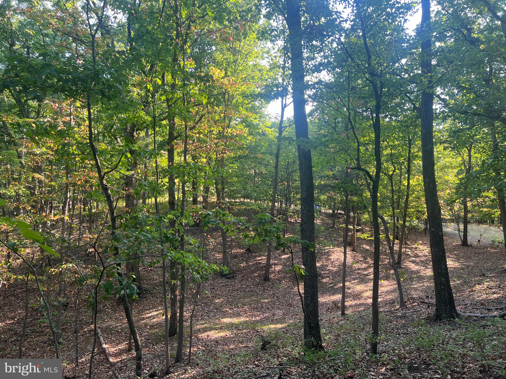 GLEN ECHO FARM - Land