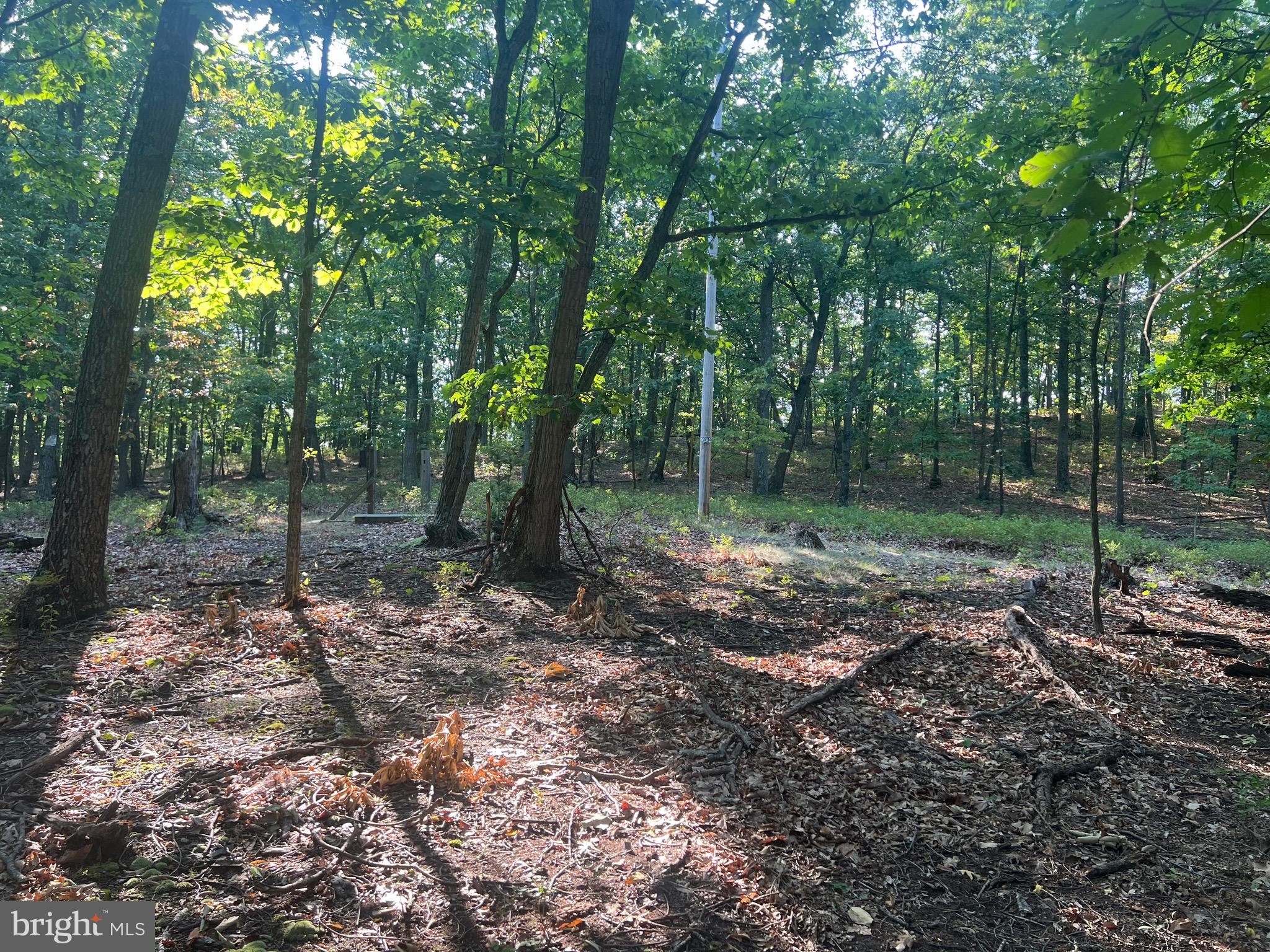 GLEN ECHO FARM - Land