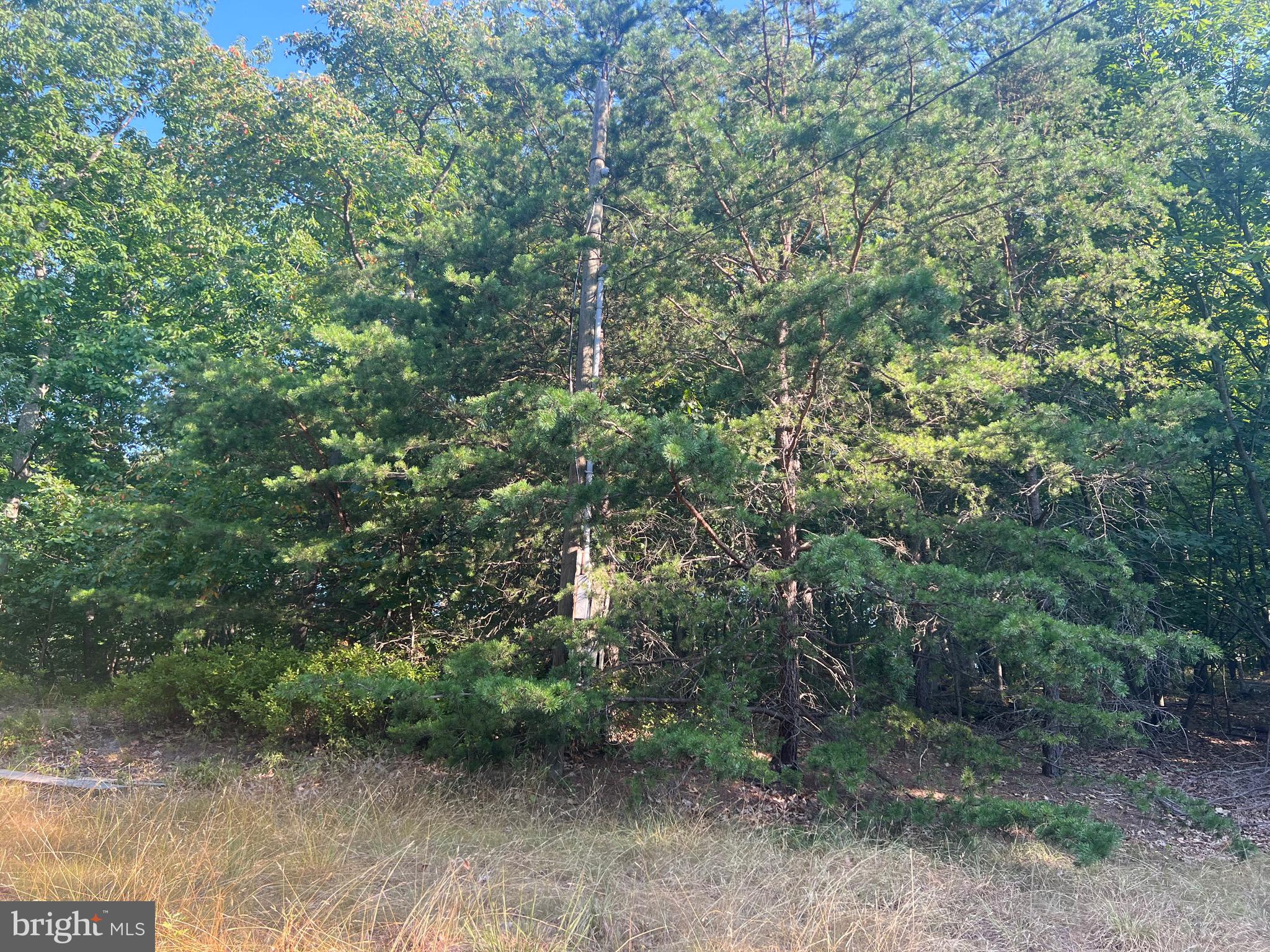 GLEN ECHO FARM - Land