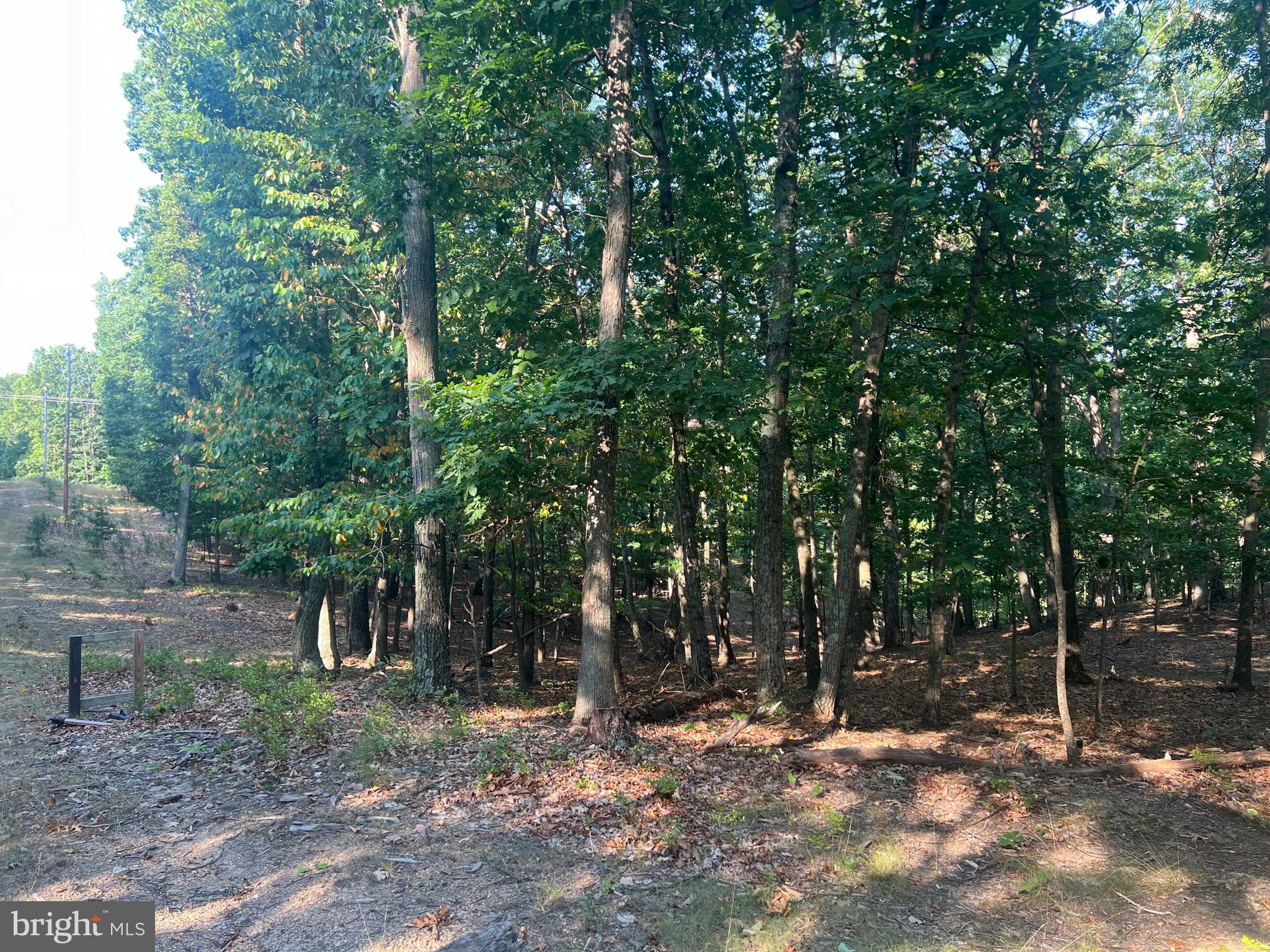 GLEN ECHO FARM - Land