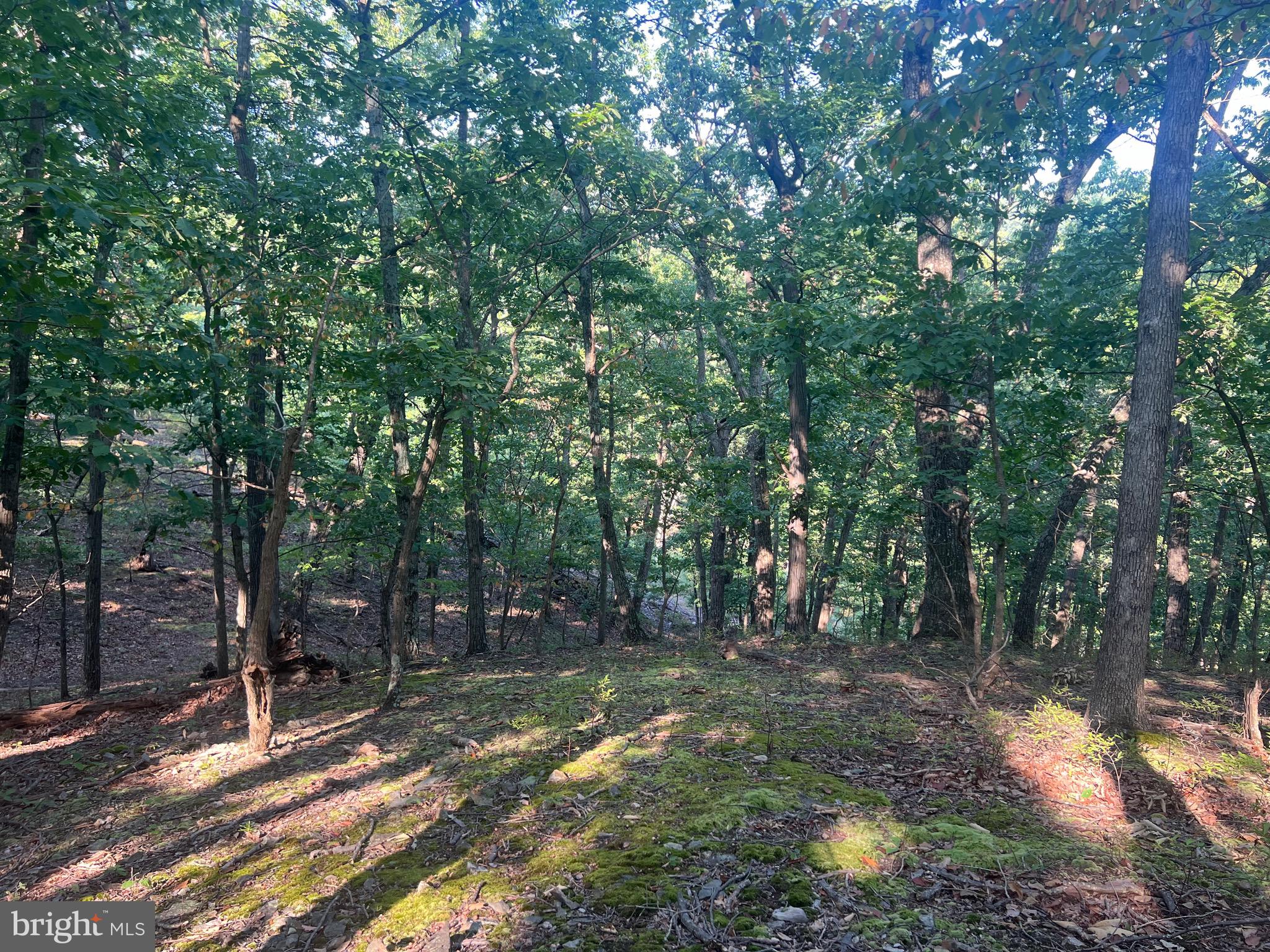 GLEN ECHO FARM - Land