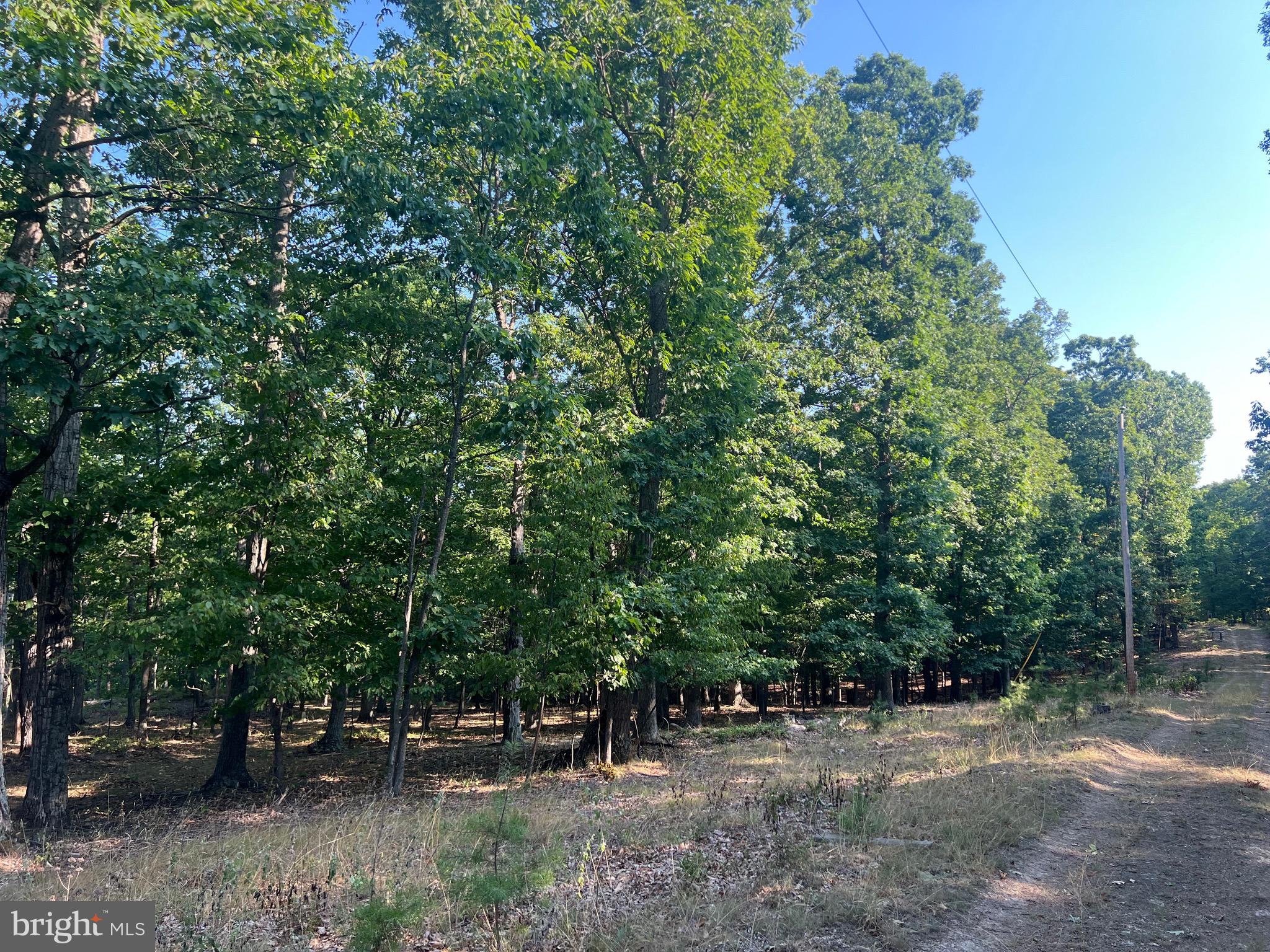 GLEN ECHO FARM - Land