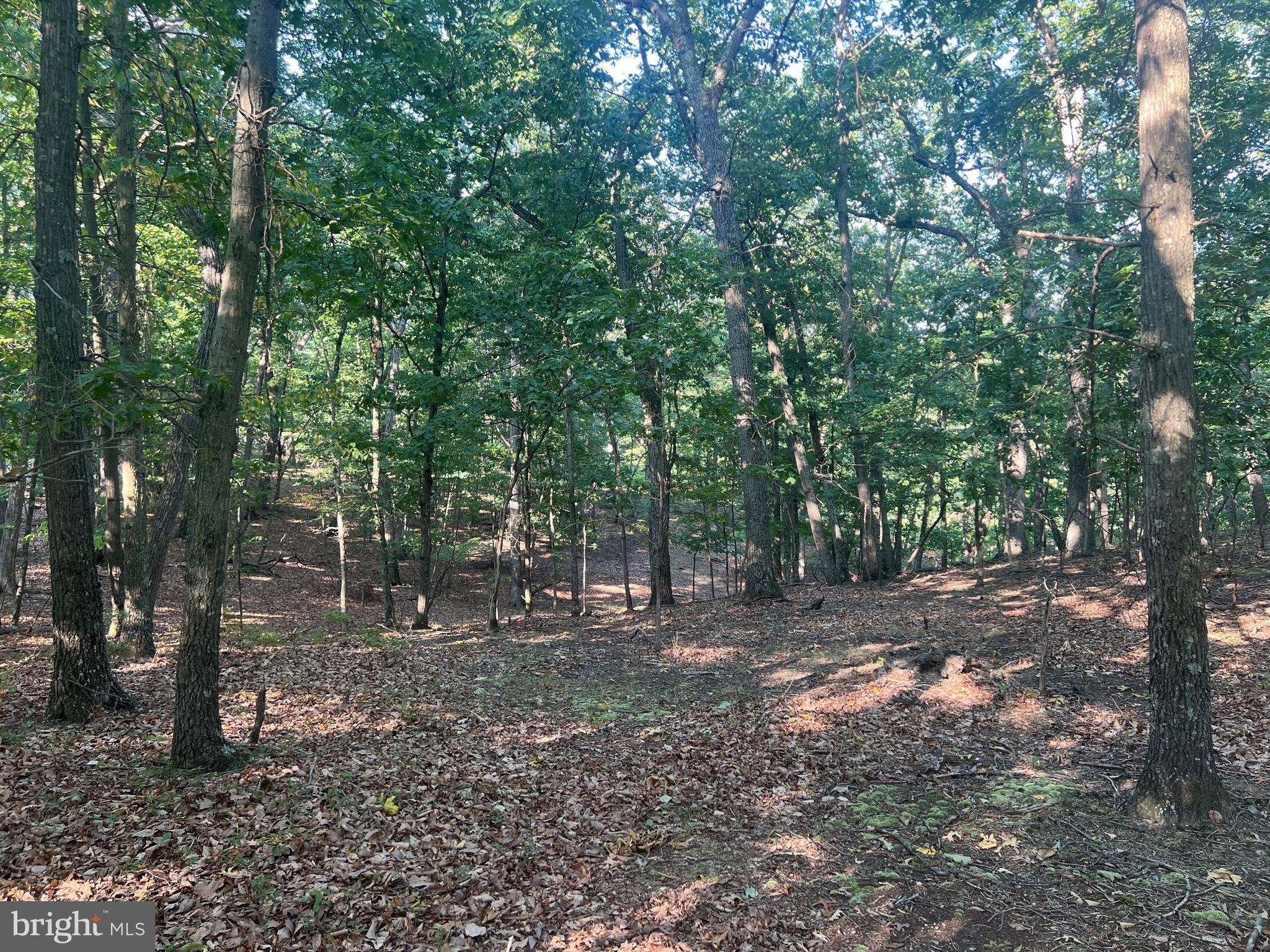 GLEN ECHO FARM - Land