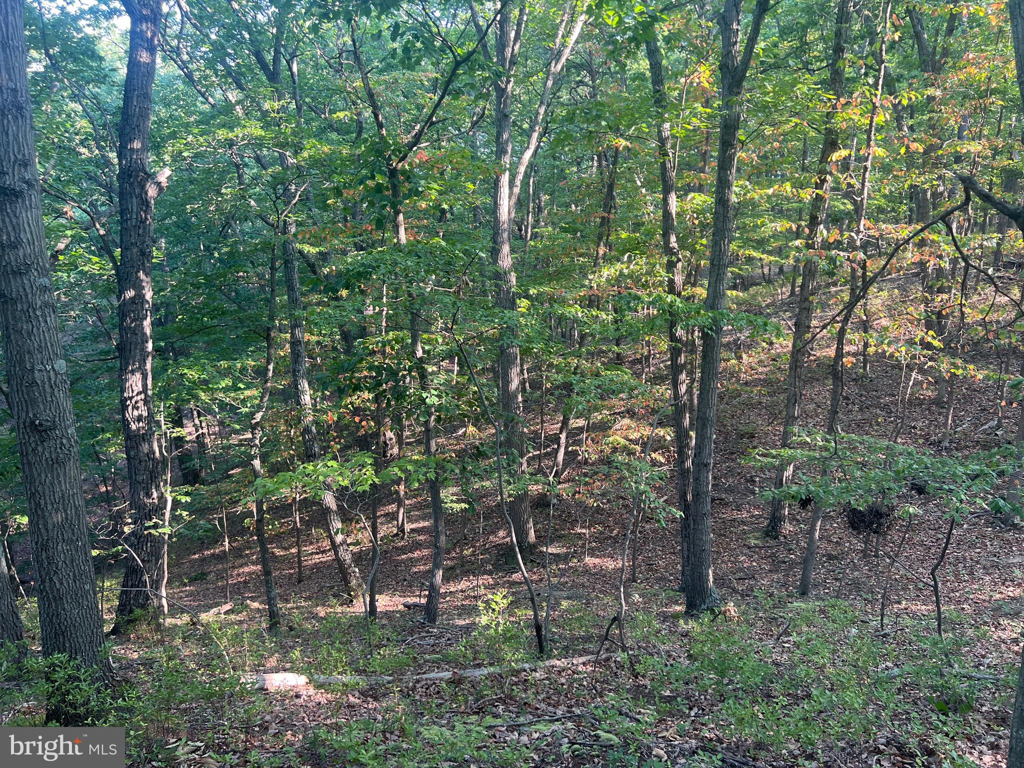 GLEN ECHO FARM - Land