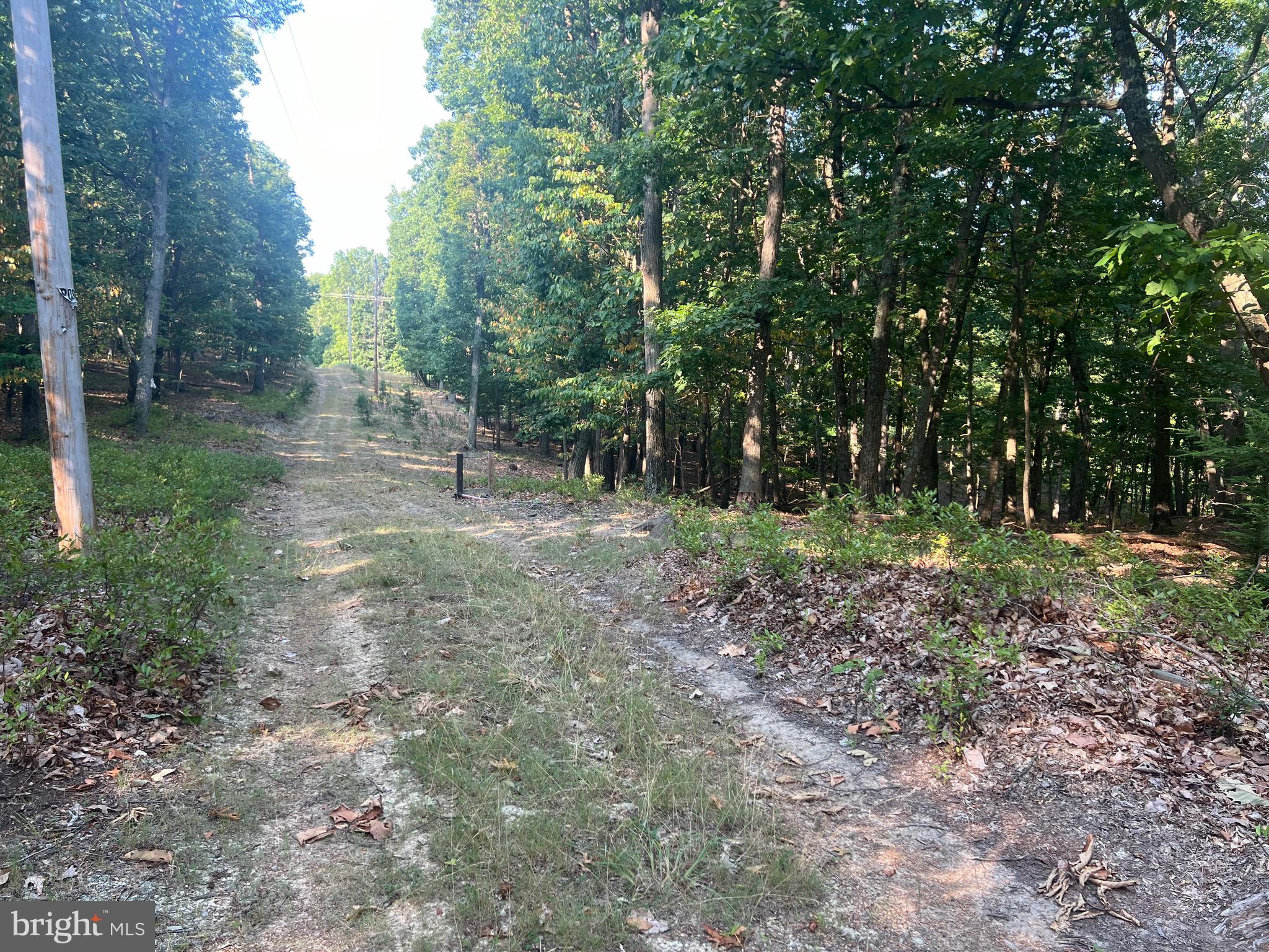 GLEN ECHO FARM - Land