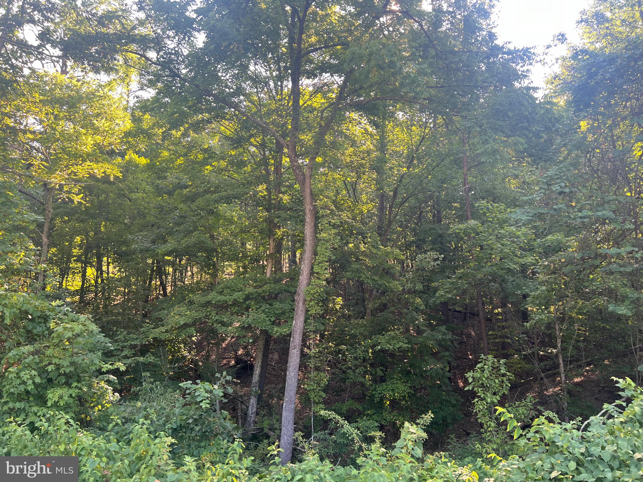 GLEN ECHO FARM - Land