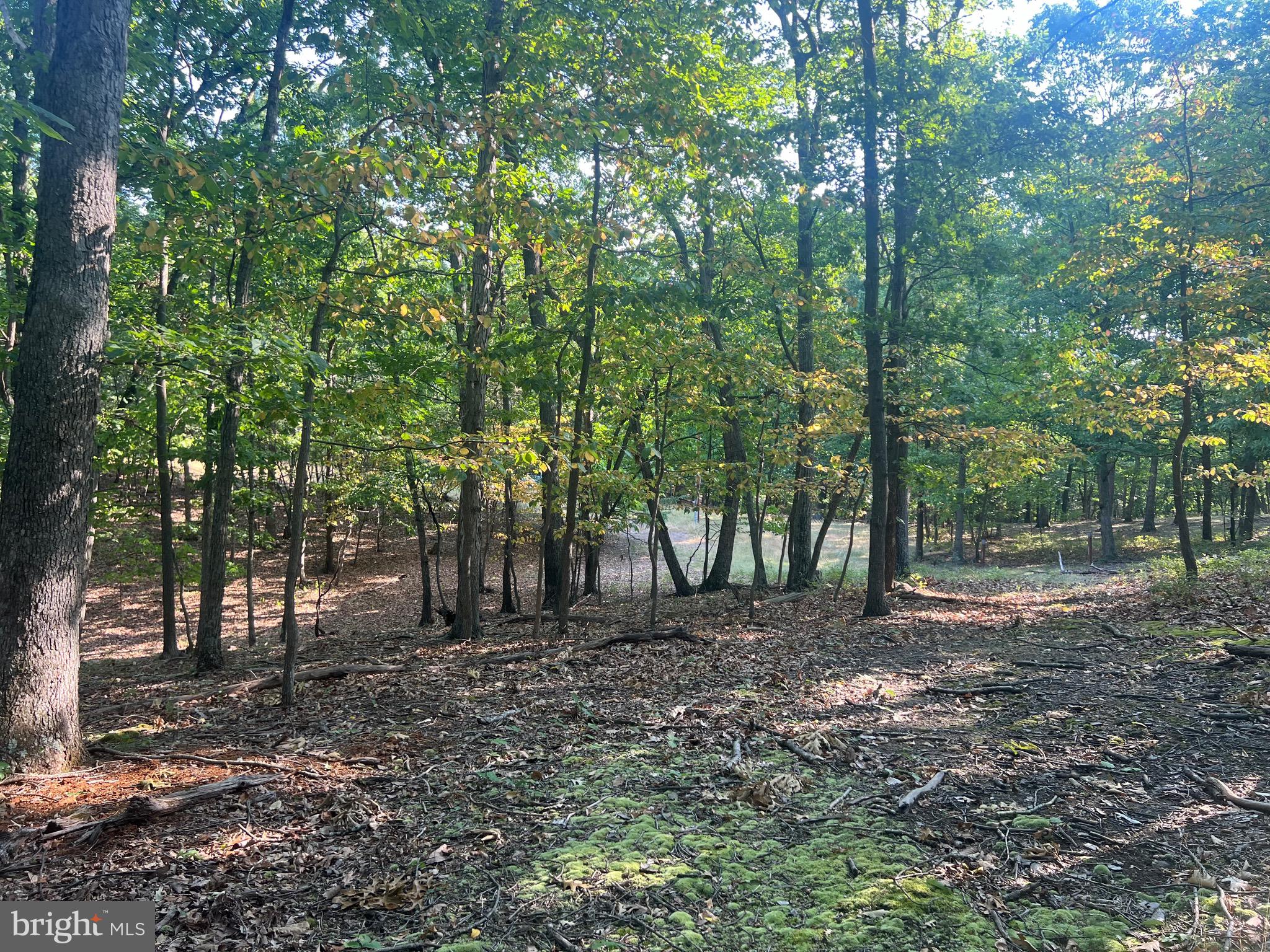 GLEN ECHO FARM - Land