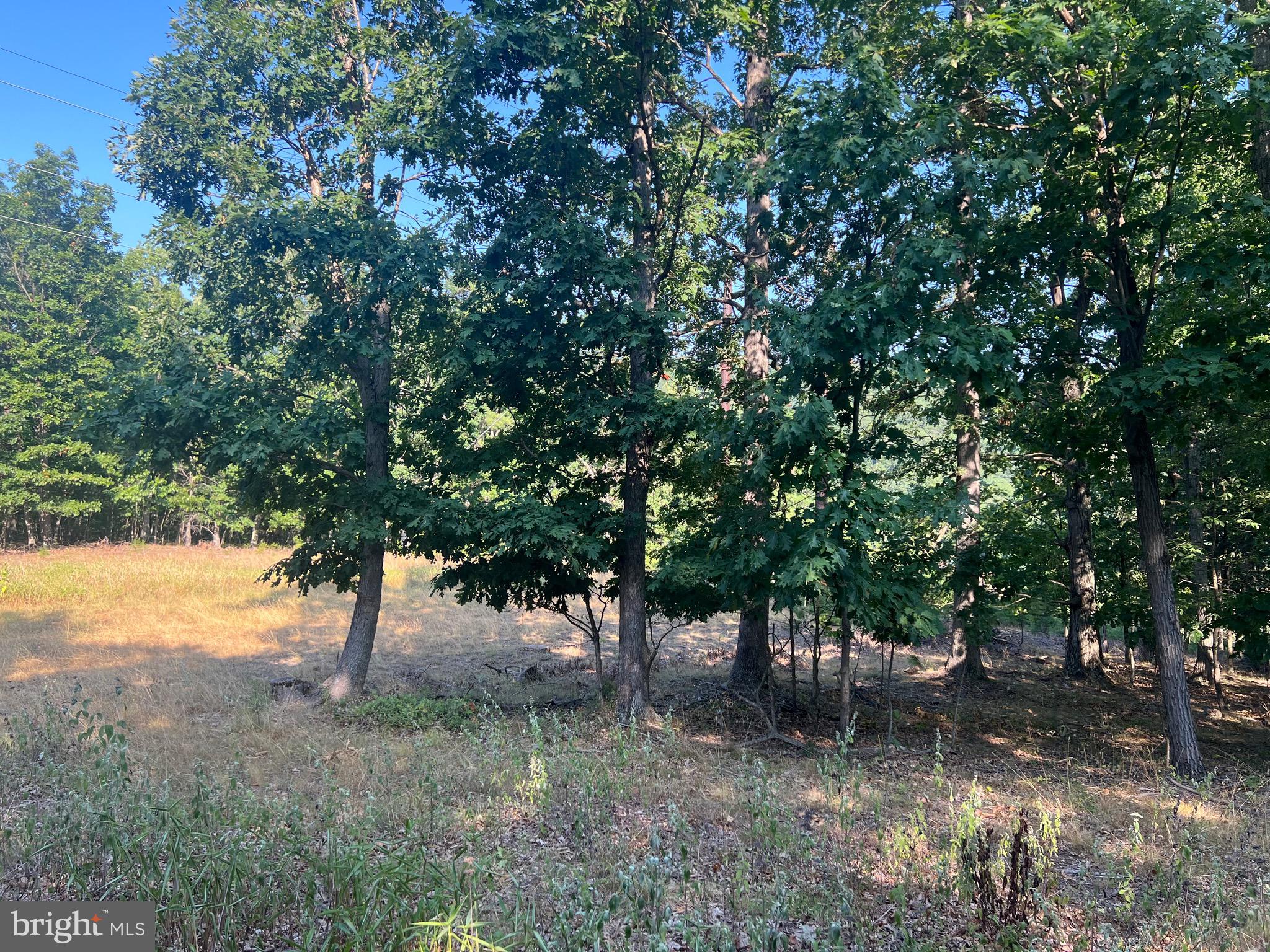 GLEN ECHO FARM - Land