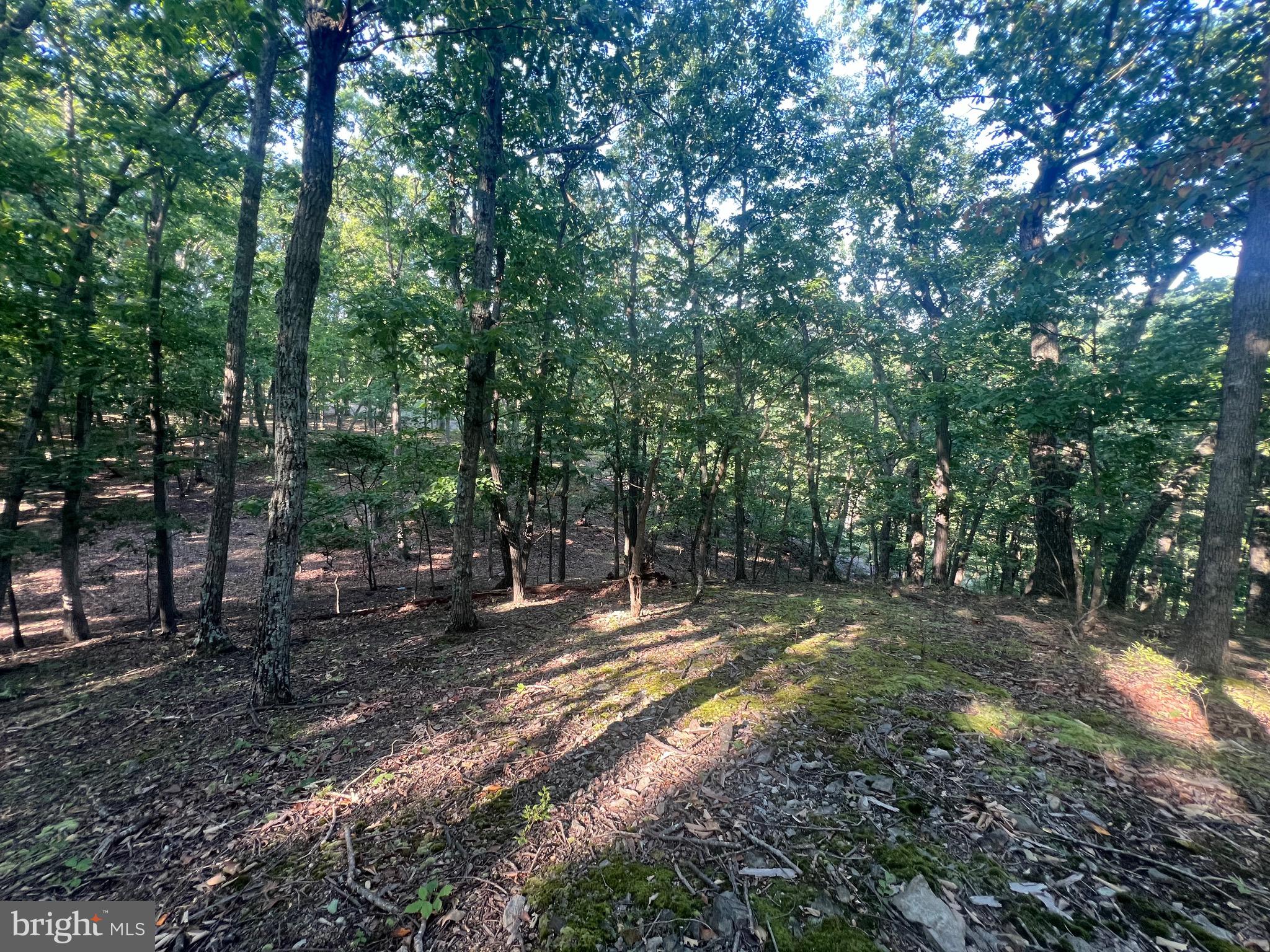 GLEN ECHO FARM - Land