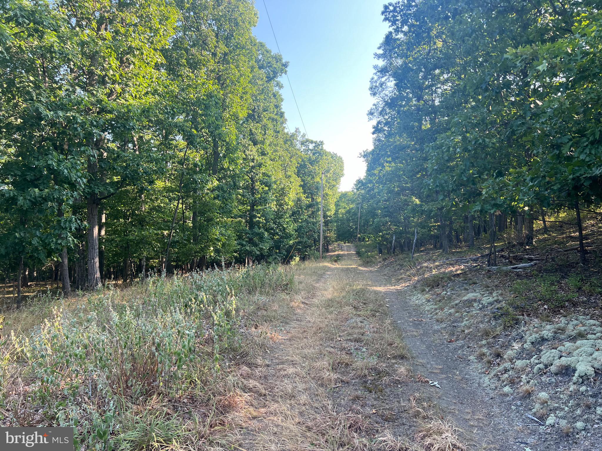 GLEN ECHO FARM - Land